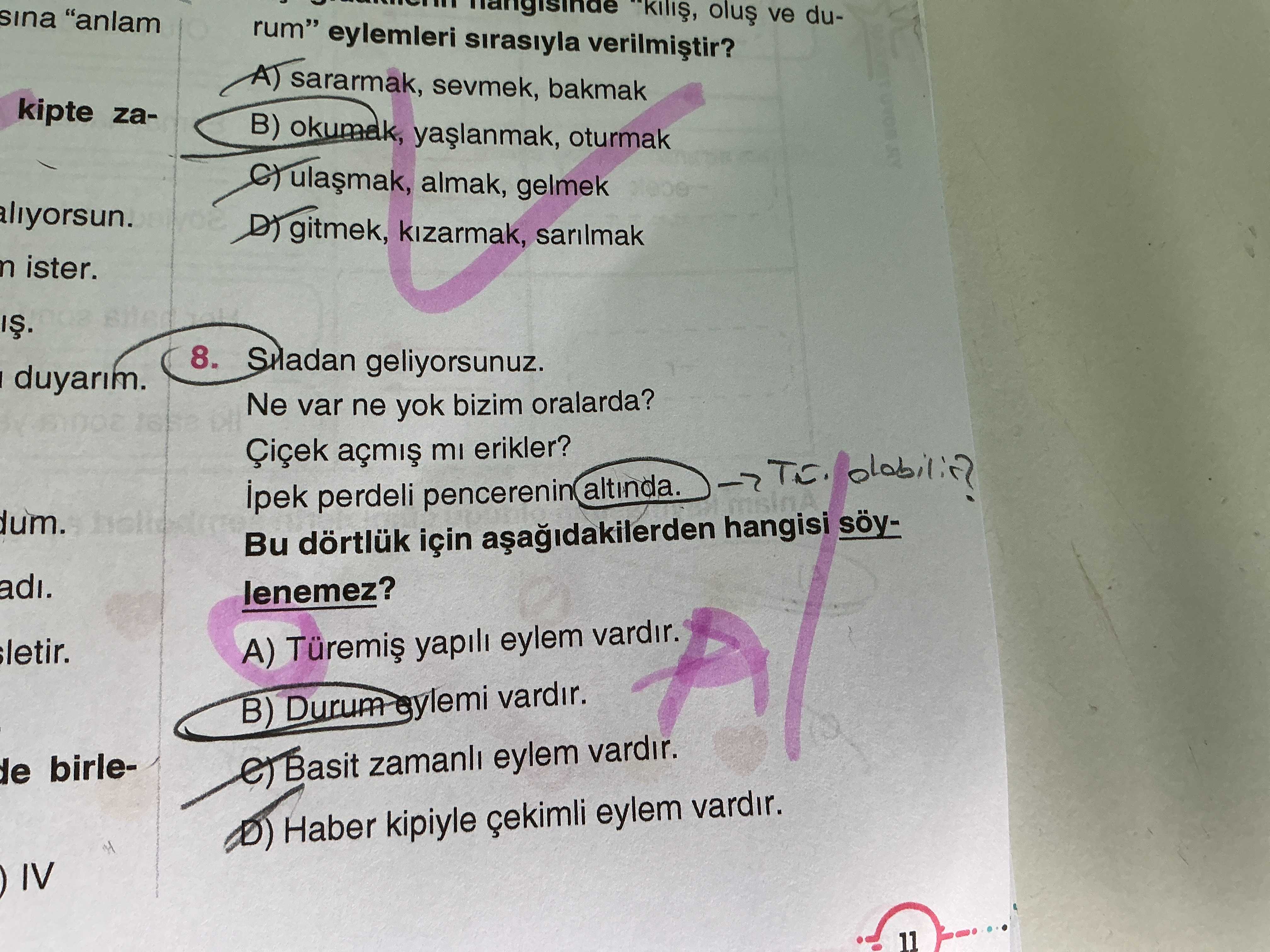 Sıladan geliyorsunuz. Ne var ne yok bizim oralarda? Çiçek açmış mı erikler? İpek perdeli pencerenin