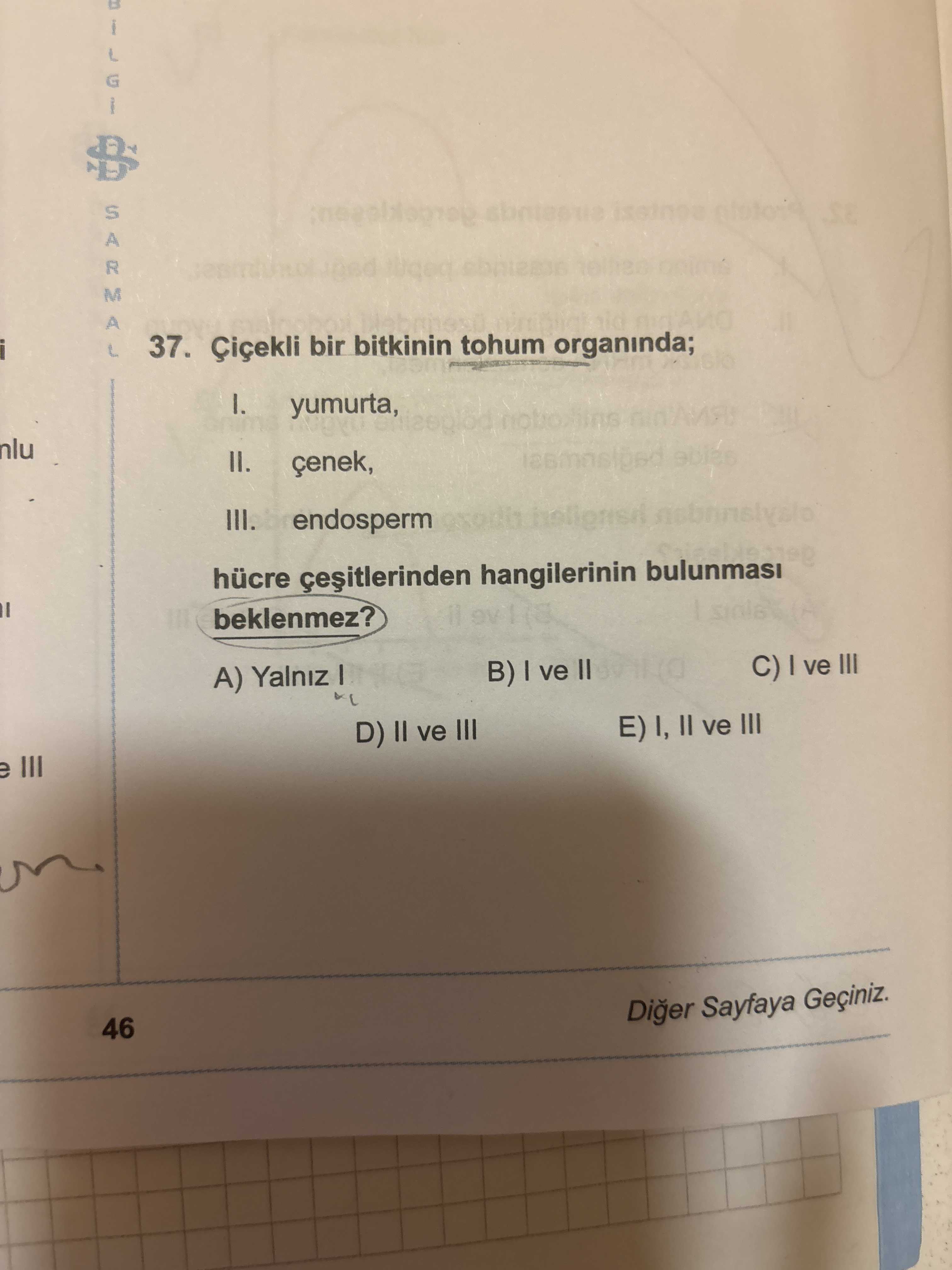 Çiçekli bir bitkinin tohum organında; I. yumurta, II. çenek, III. endosperm hücre çeşitlerinden