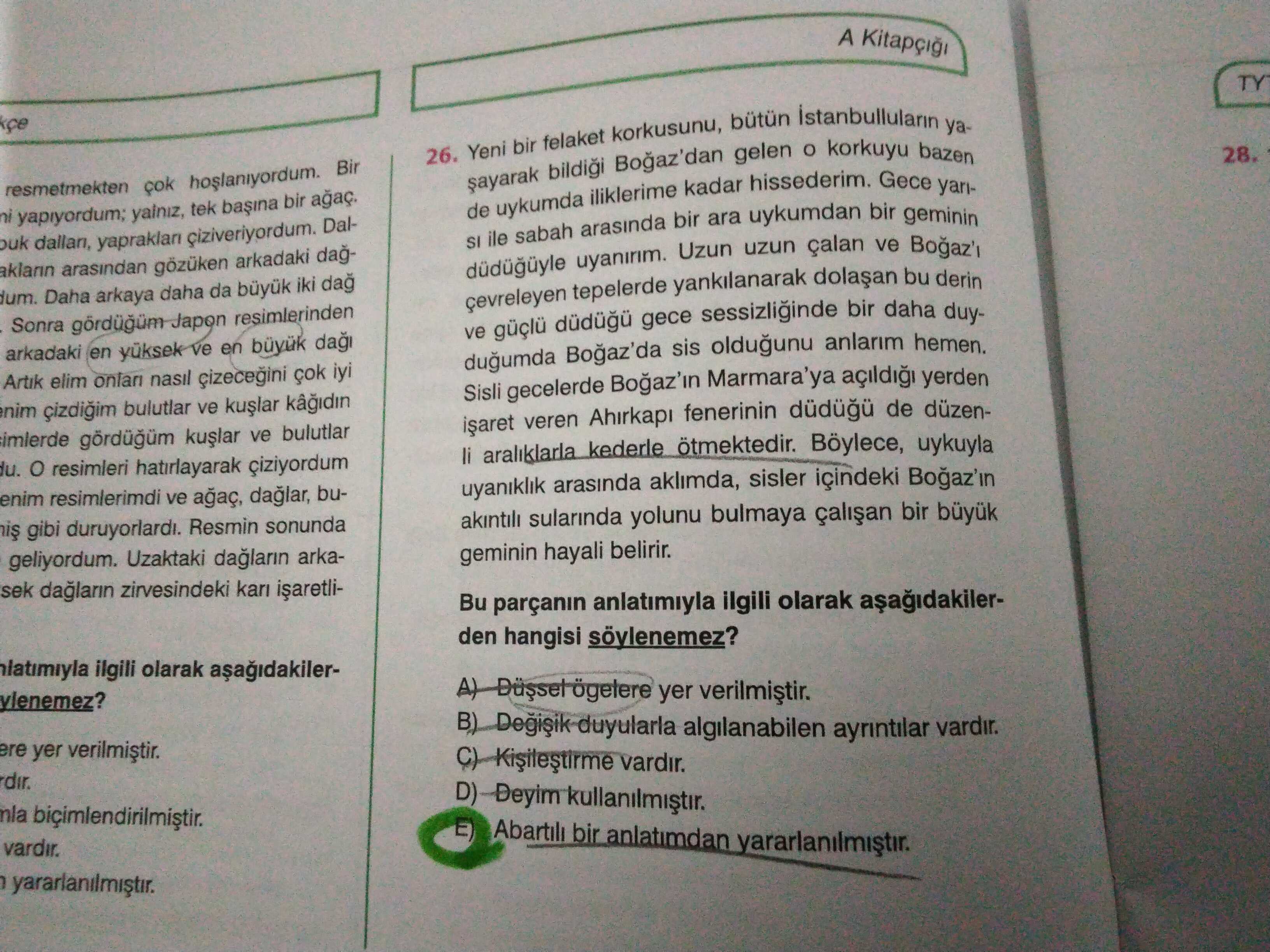 Türk Dili ve Edebiyatı  (11. Sınıf)