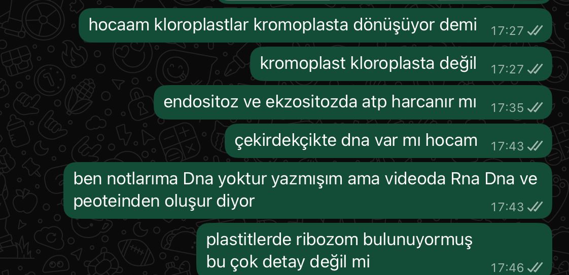 Bu görsel bir soru görseli değil, bir WhatsApp mesajlaşma ekran görüntüsüdür. Soru formatında bir