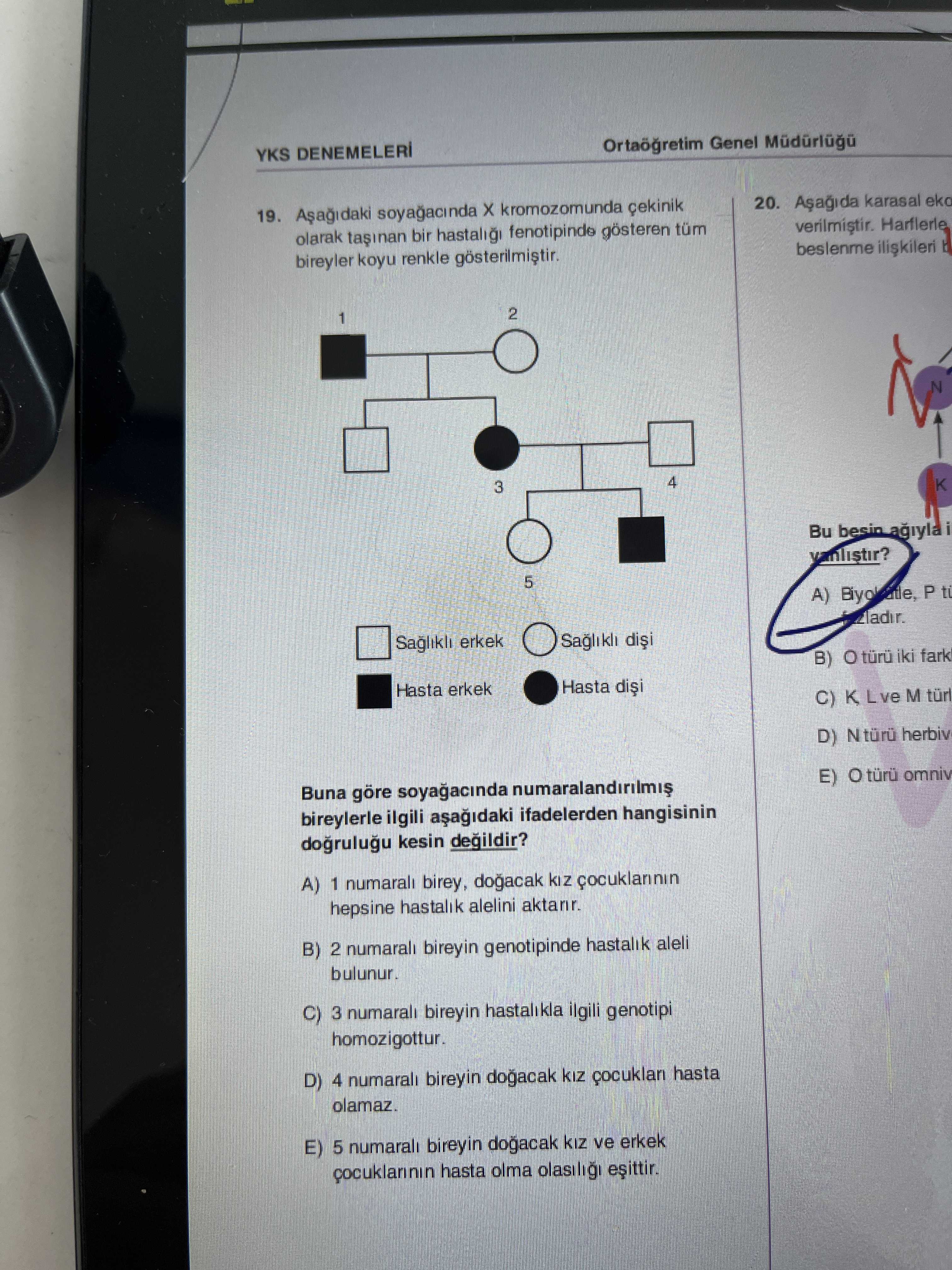 Aşağıdaki soyağacında X kromozomunda çekinik olarak taşınan bir hastalığı fenotipinde gösteren tüm