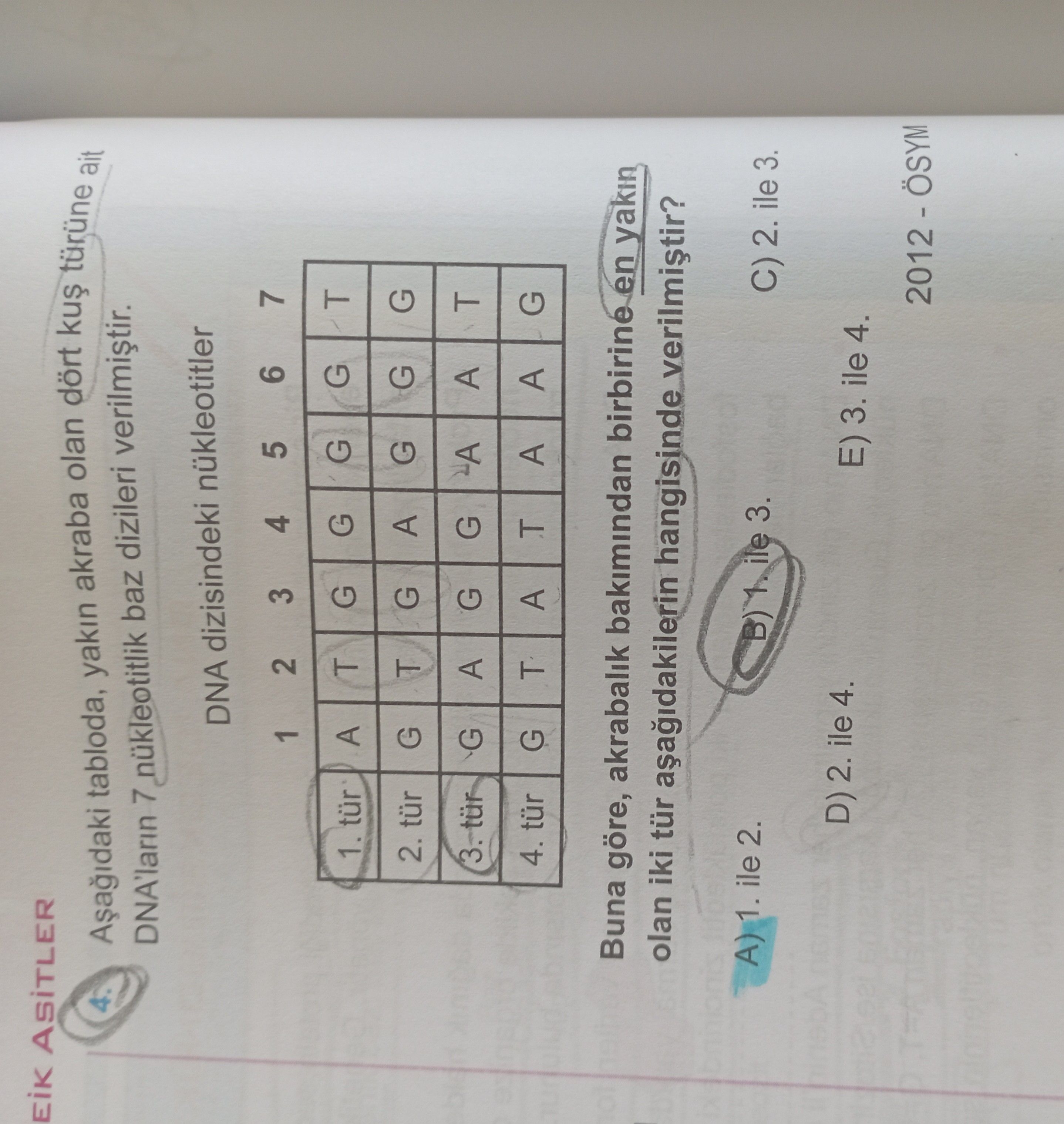 Aşağıdaki tabloda, yakın akraba olan dört kuş türüne ait DNA'ların 7 nükleotitlik baz dizileri