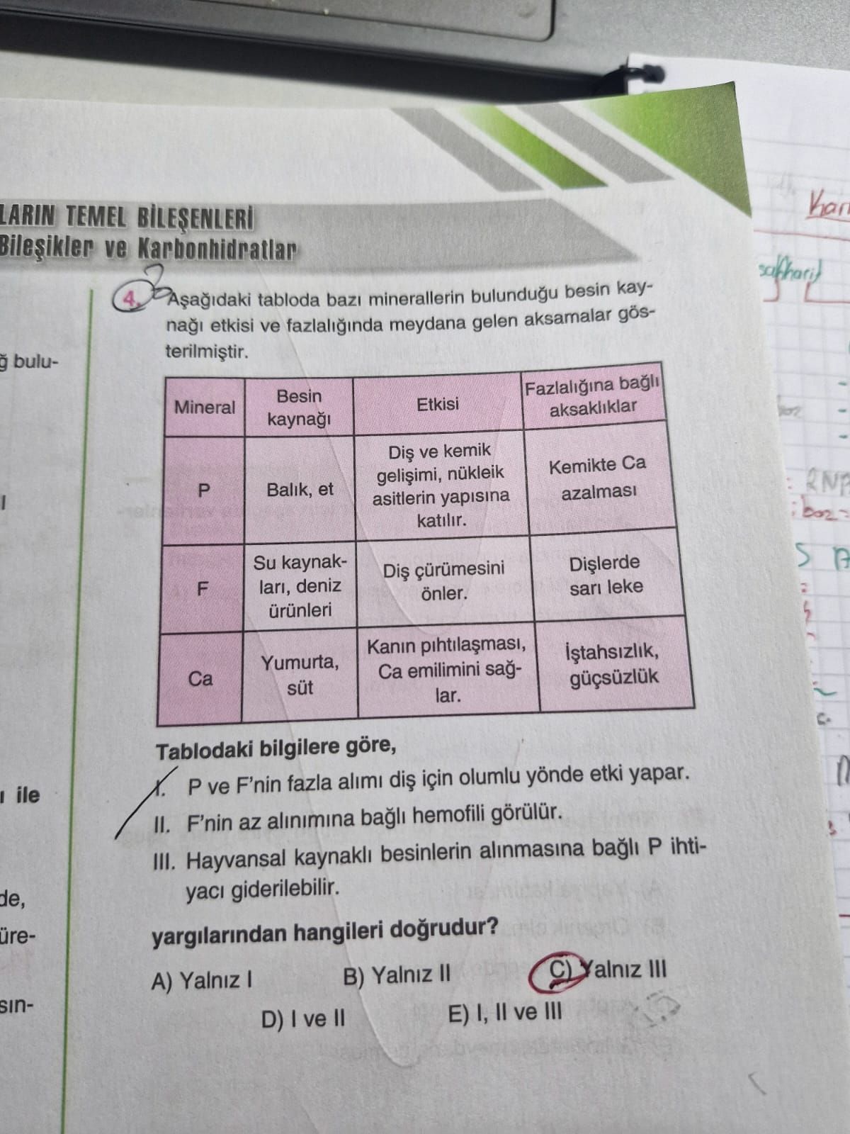 Biyoloji (11. Sınıf)