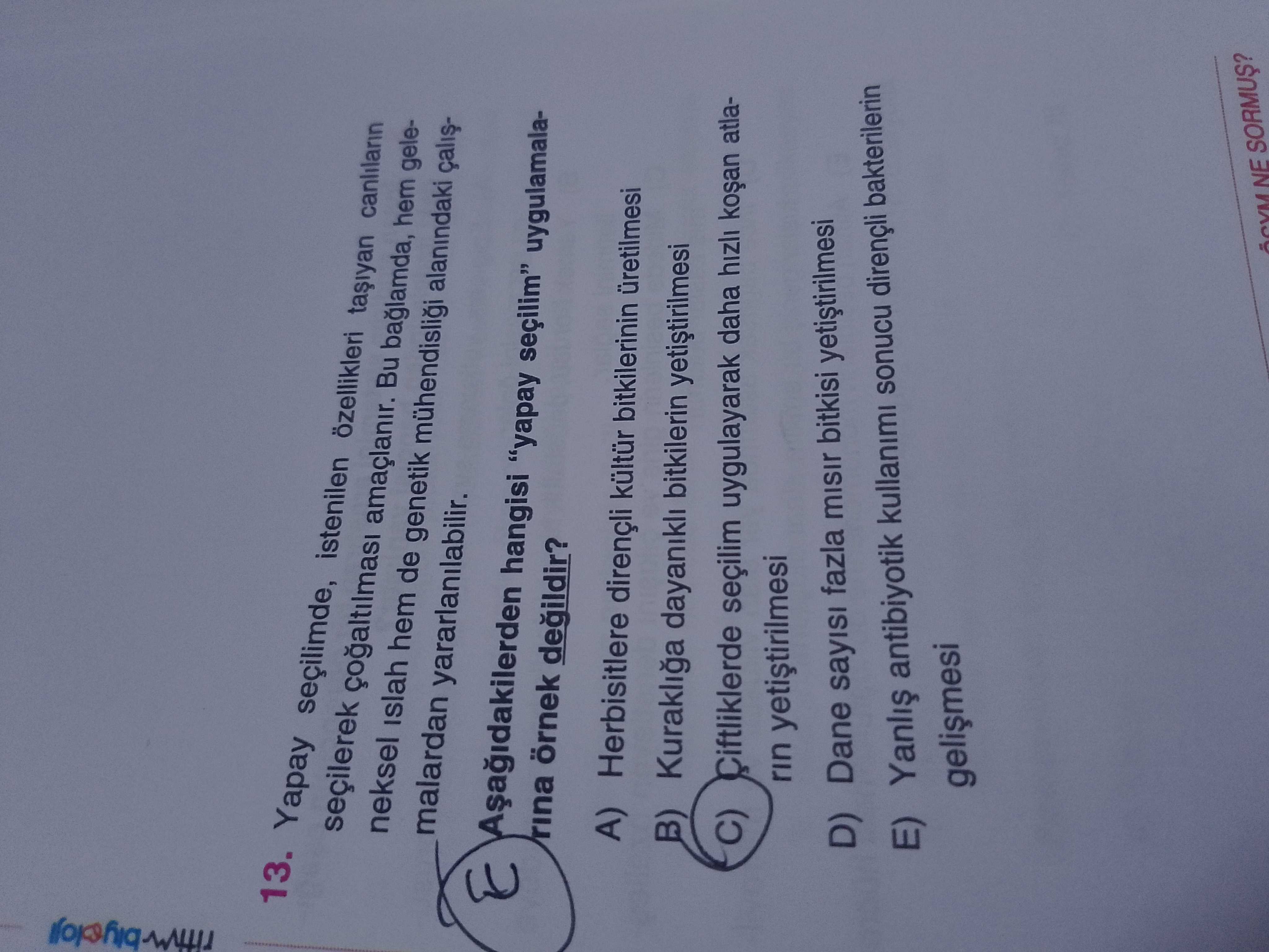 Yapay seçilimde, istenilen özellikleri taşıyan canlıların seçilerek çoğaltılması amaçlanır. Bu