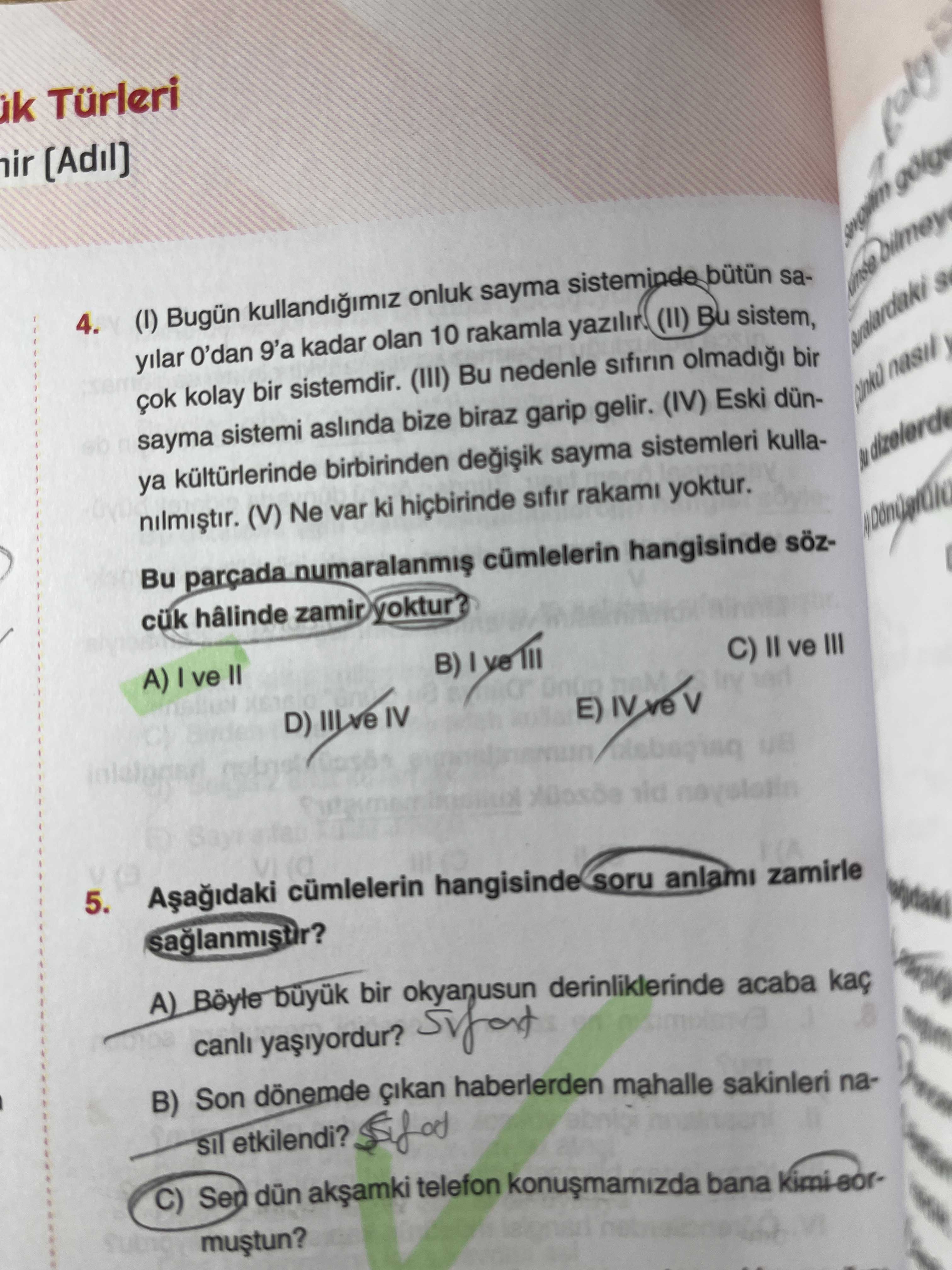 Türkçe (12. Sınıf)