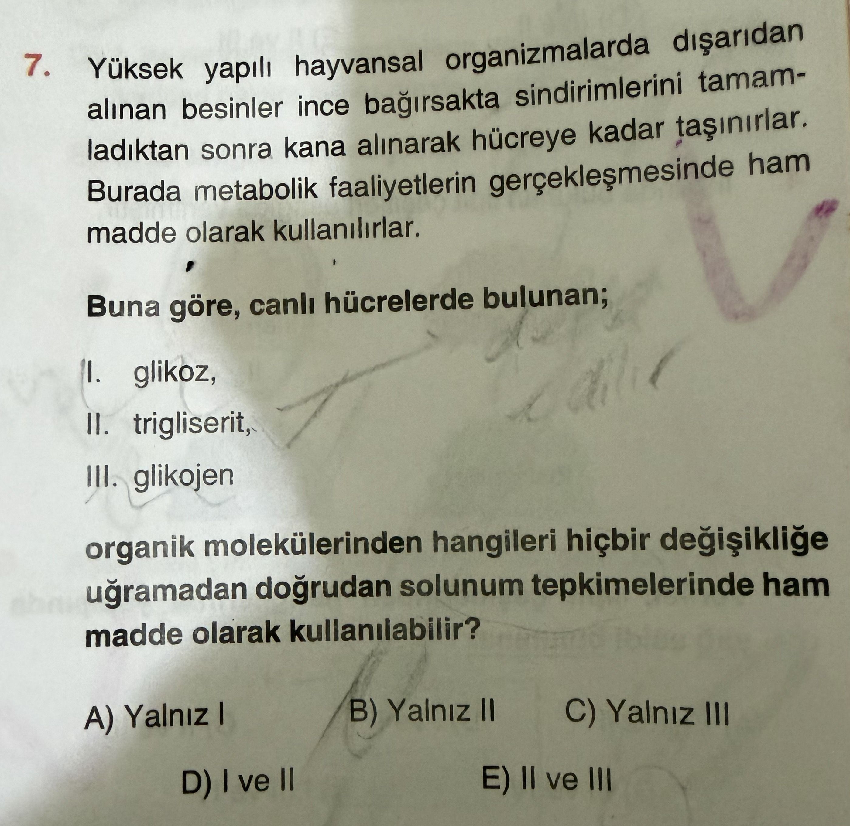 Yüksek yapılı hayvansal organizmalarda dışarıdan alınan besinler ince bağırsakta sindirimlerini