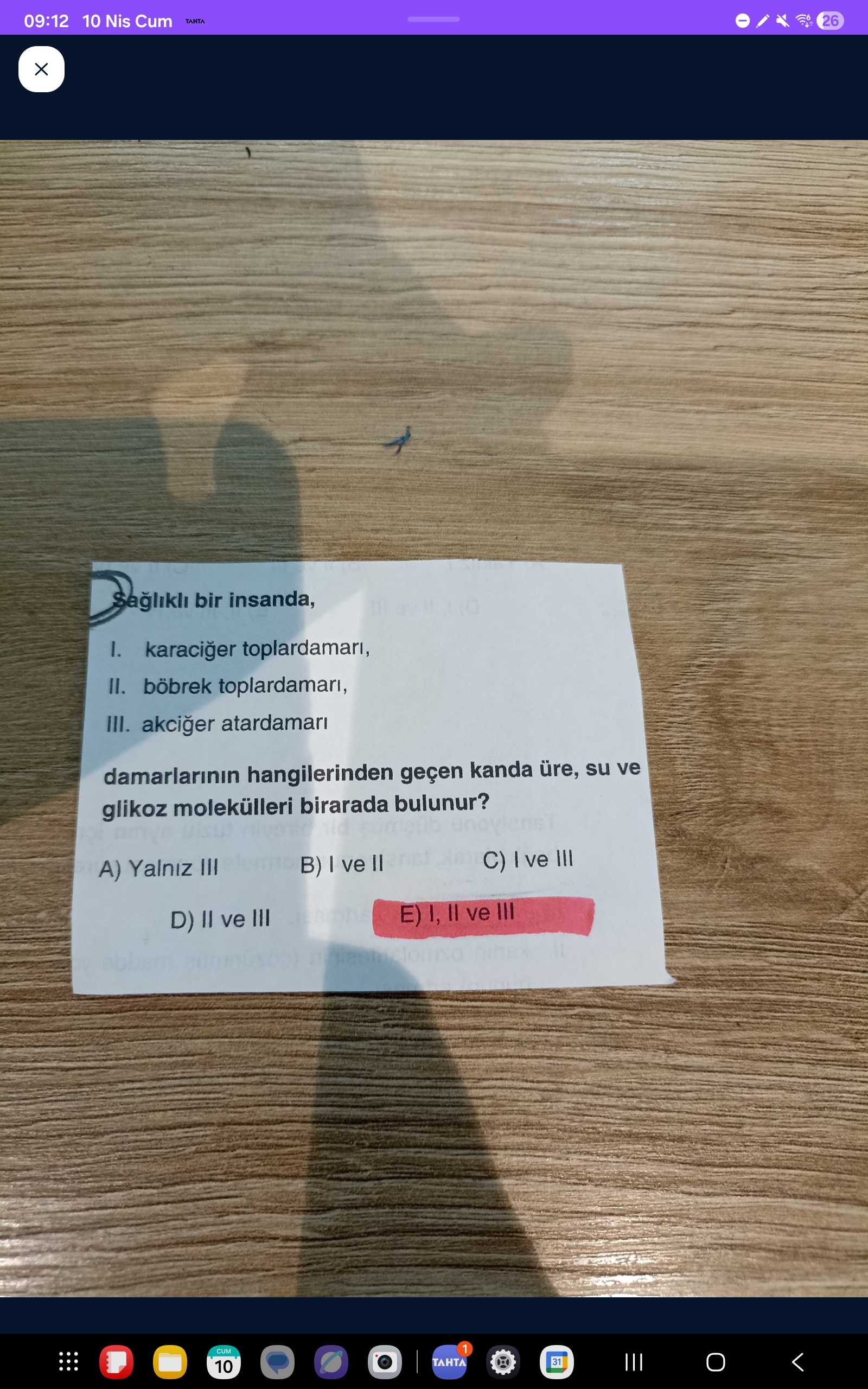 Sağlıklı bir insanda, I. karaciğer toplardamarı, II. böbrek toplardamarı, III. akciğer atardamarı