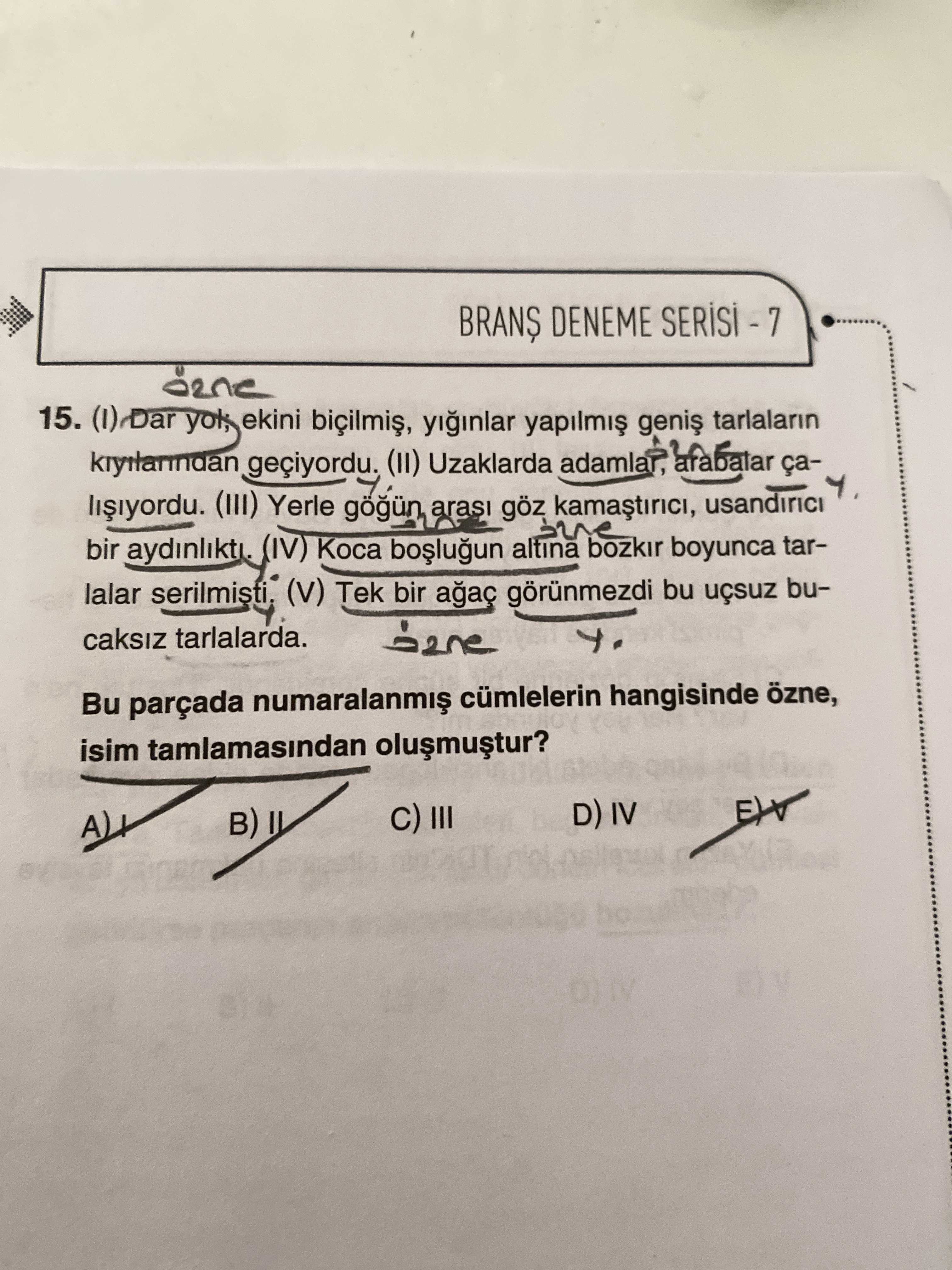 (I) Dar yol, ekini biçilmiş, yığınlar yapılmış geniş tarlaların kıyılarından geçiyordu. (II)