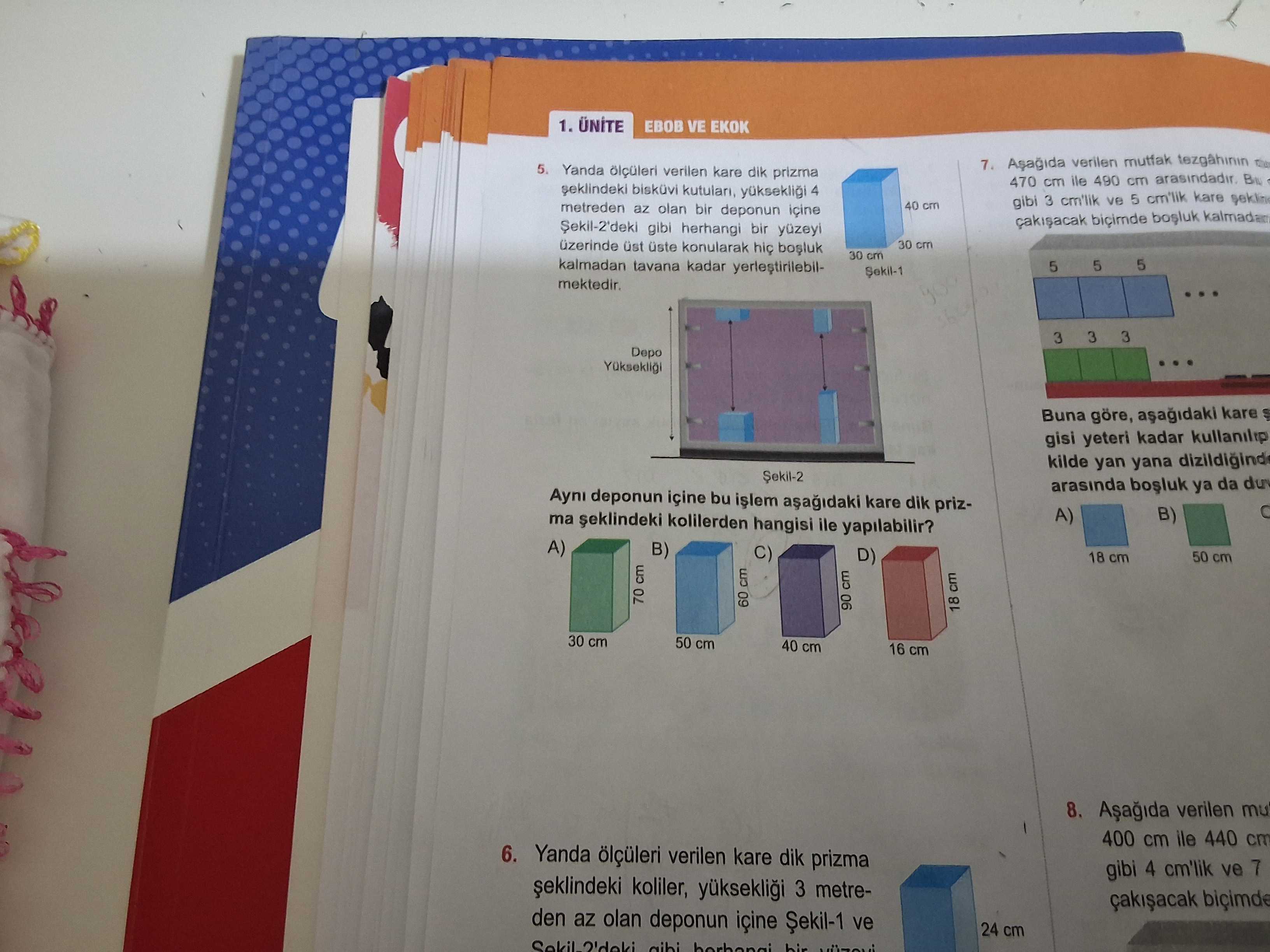 Matematik (8. Sınıf)
