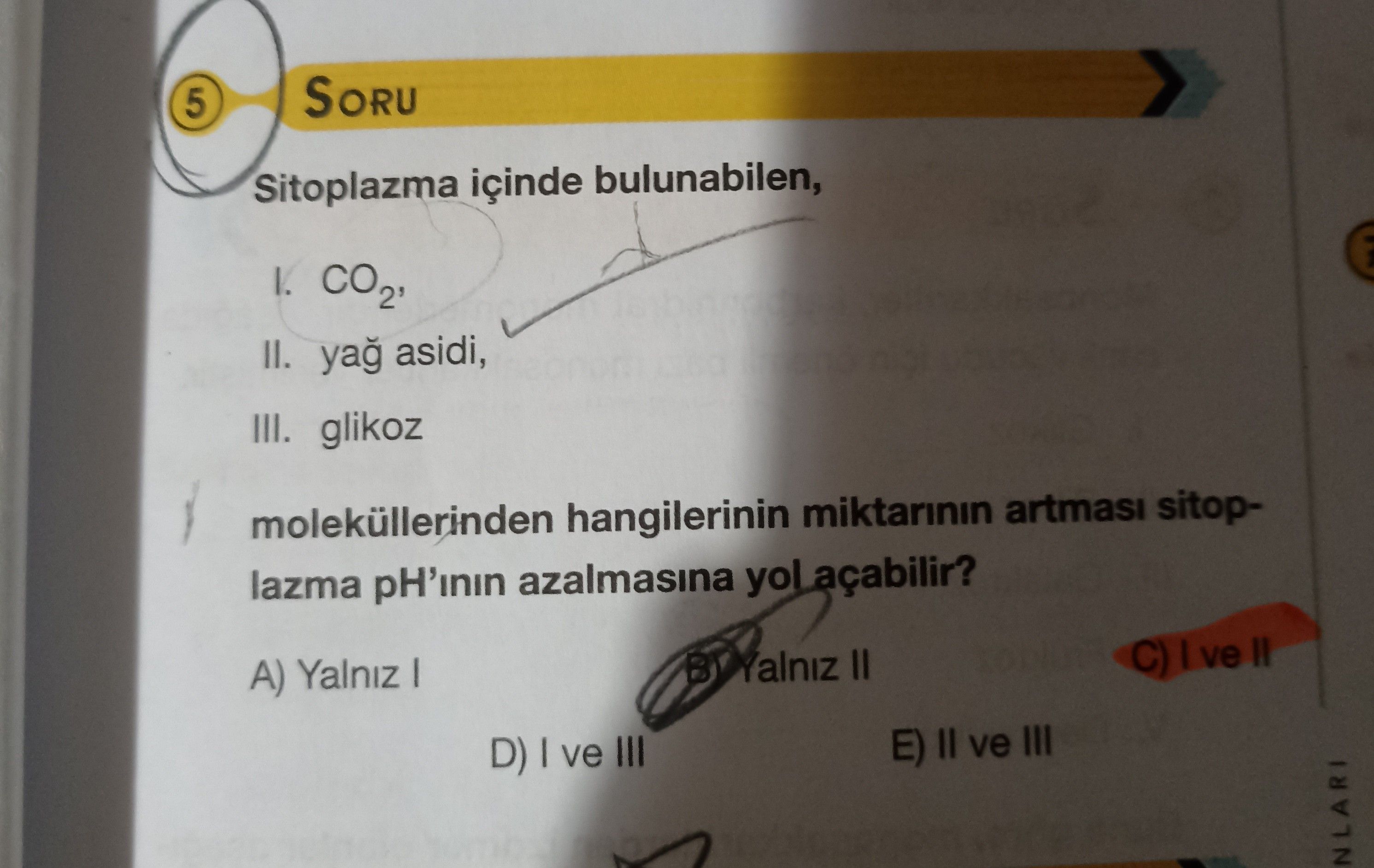Sitoplazma içinde bulunabilen, I. CO₂, II. yağ asidi, III. glikoz moleküllerinden hangilerinin
