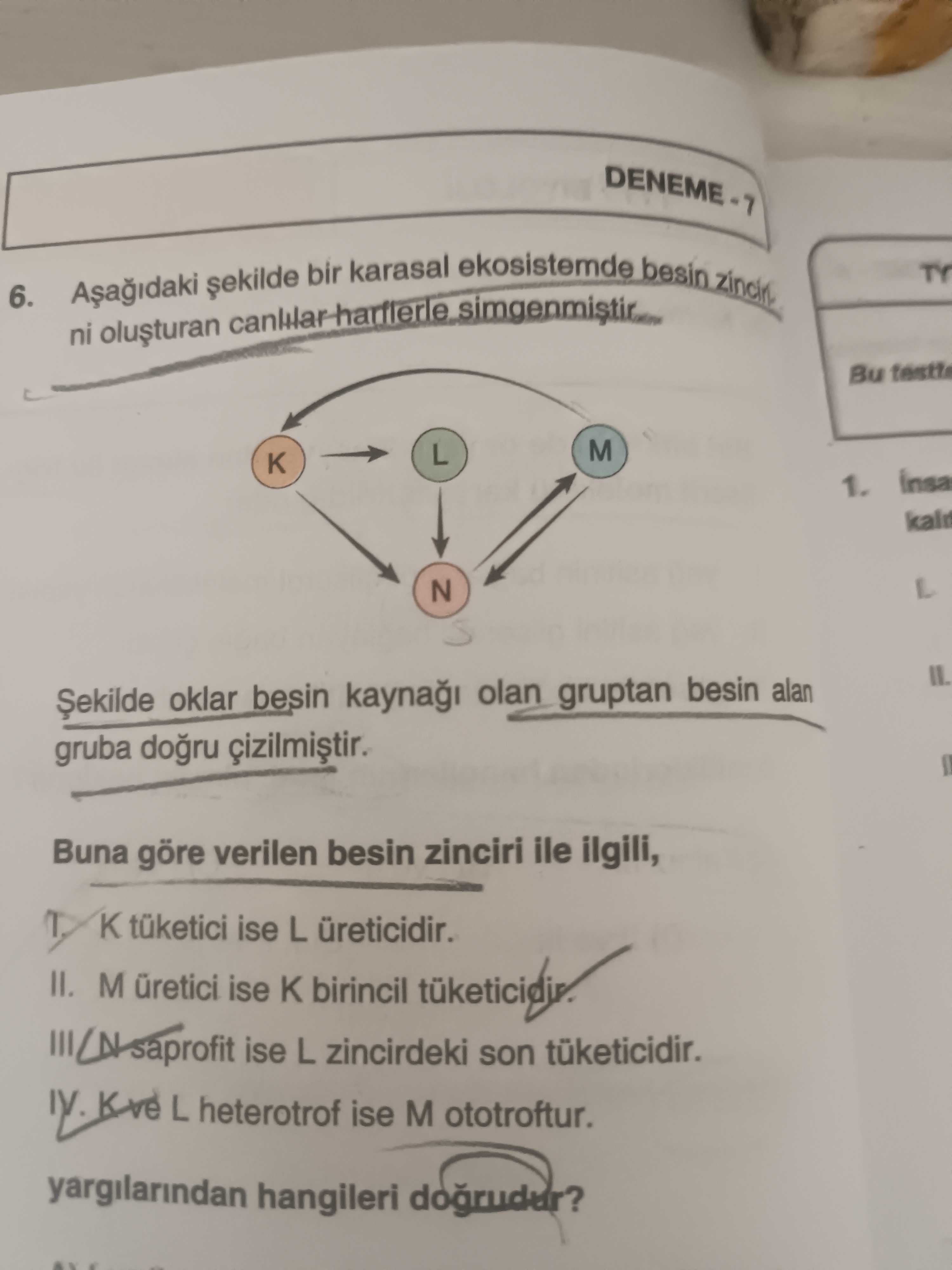 Aşağıdaki şekilde bir karasal ekosistemde besin zincirini oluşturan canlılar harflerle simgenmiştir