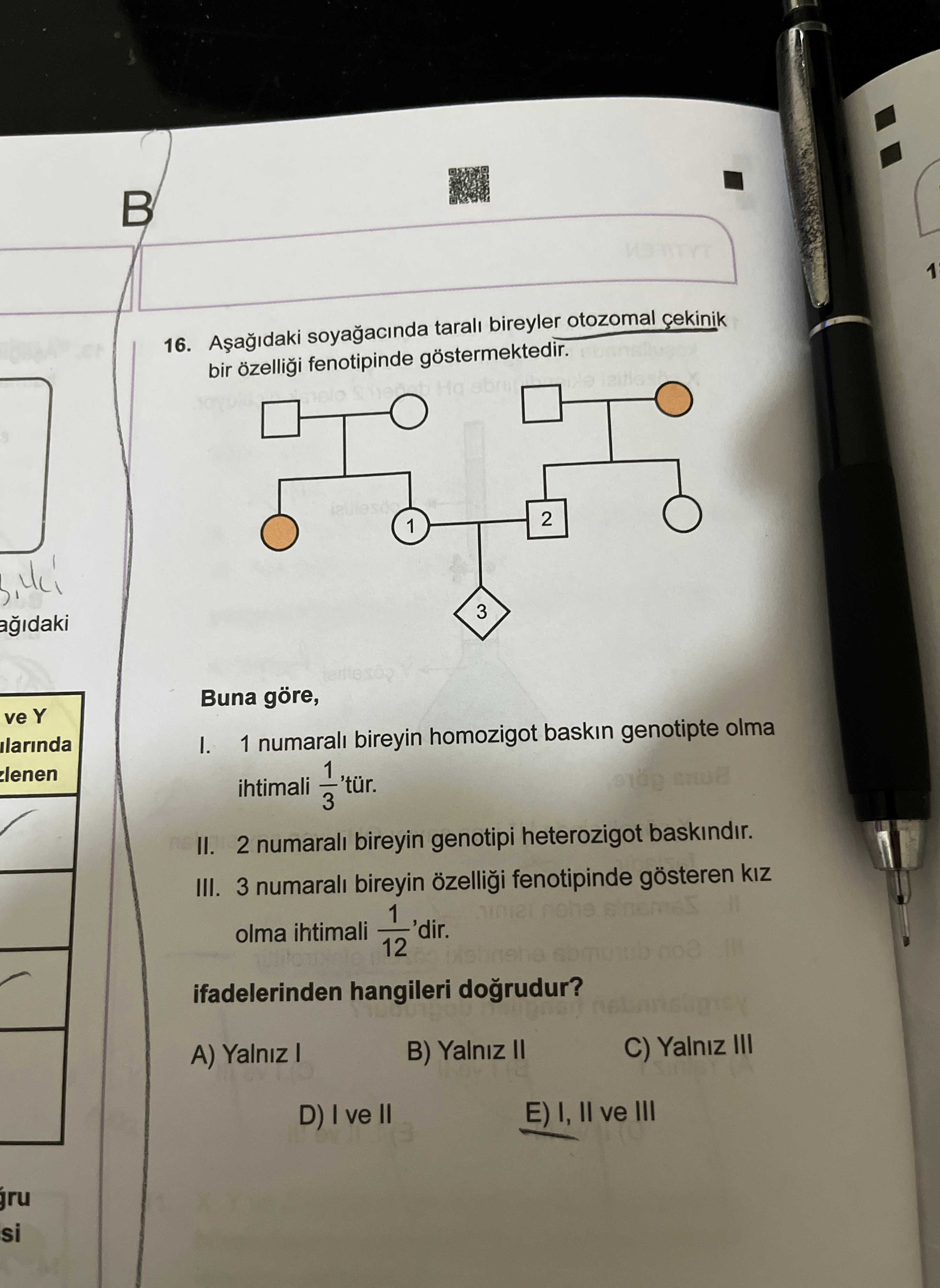 Aşağıdaki soyağacında taralı bireyler otozomal çekinik bir özelliği fenotipinde göstermektedir. Buna