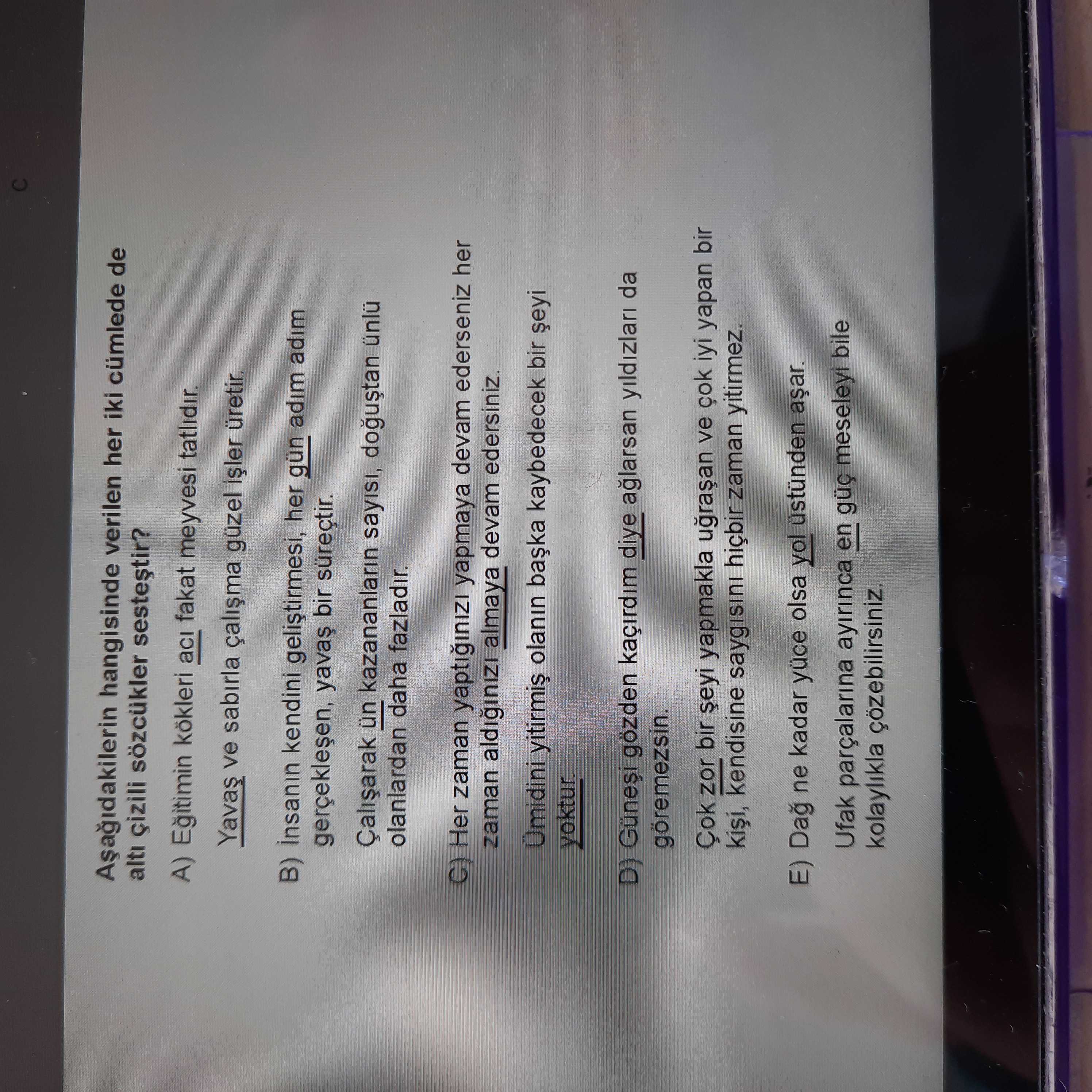 Aşağıdakilerin hangisinde verilen her iki cümlede de altı çizili sözcükler sesteştir?