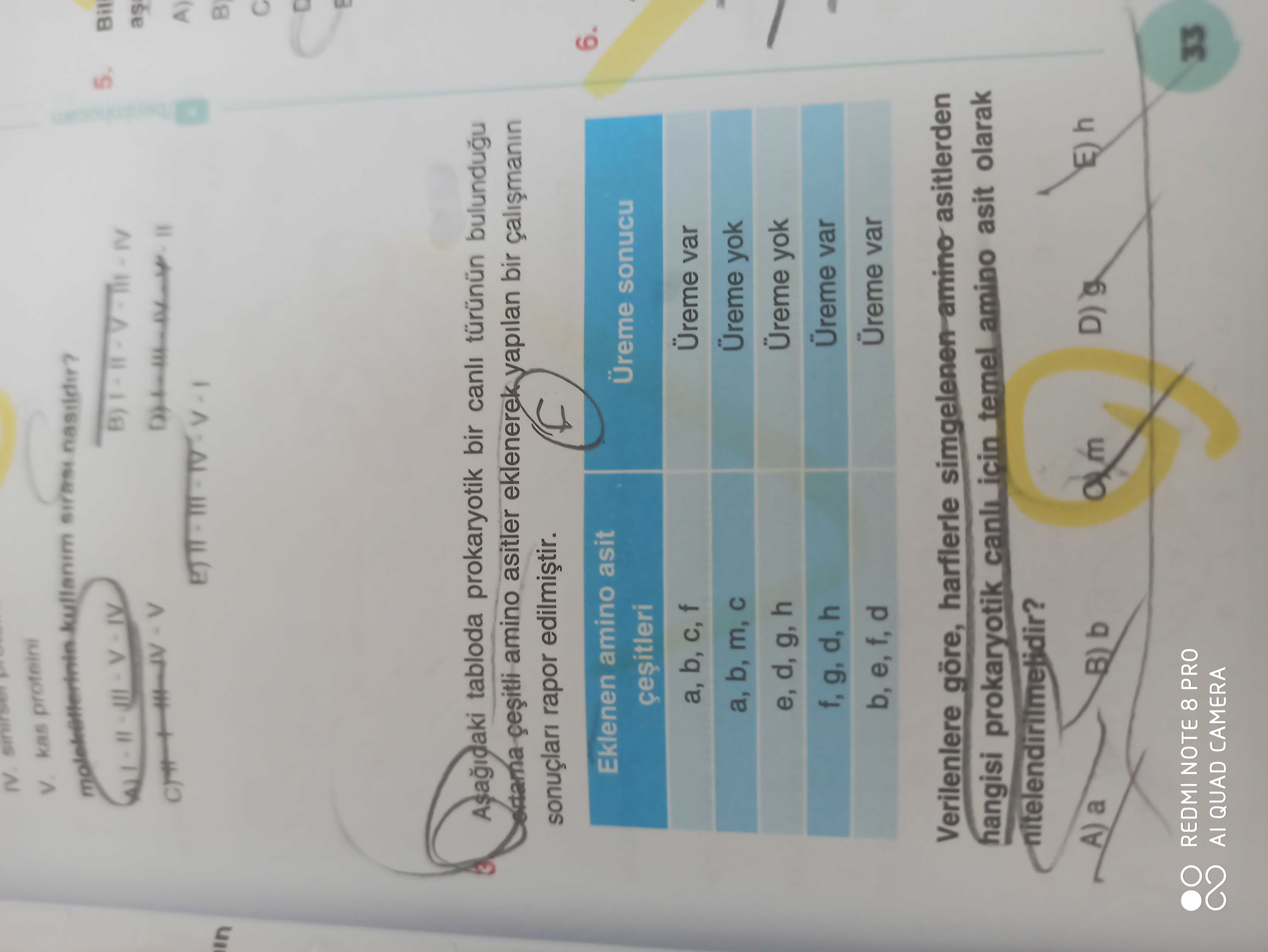 Biyoloji (11. Sınıf)