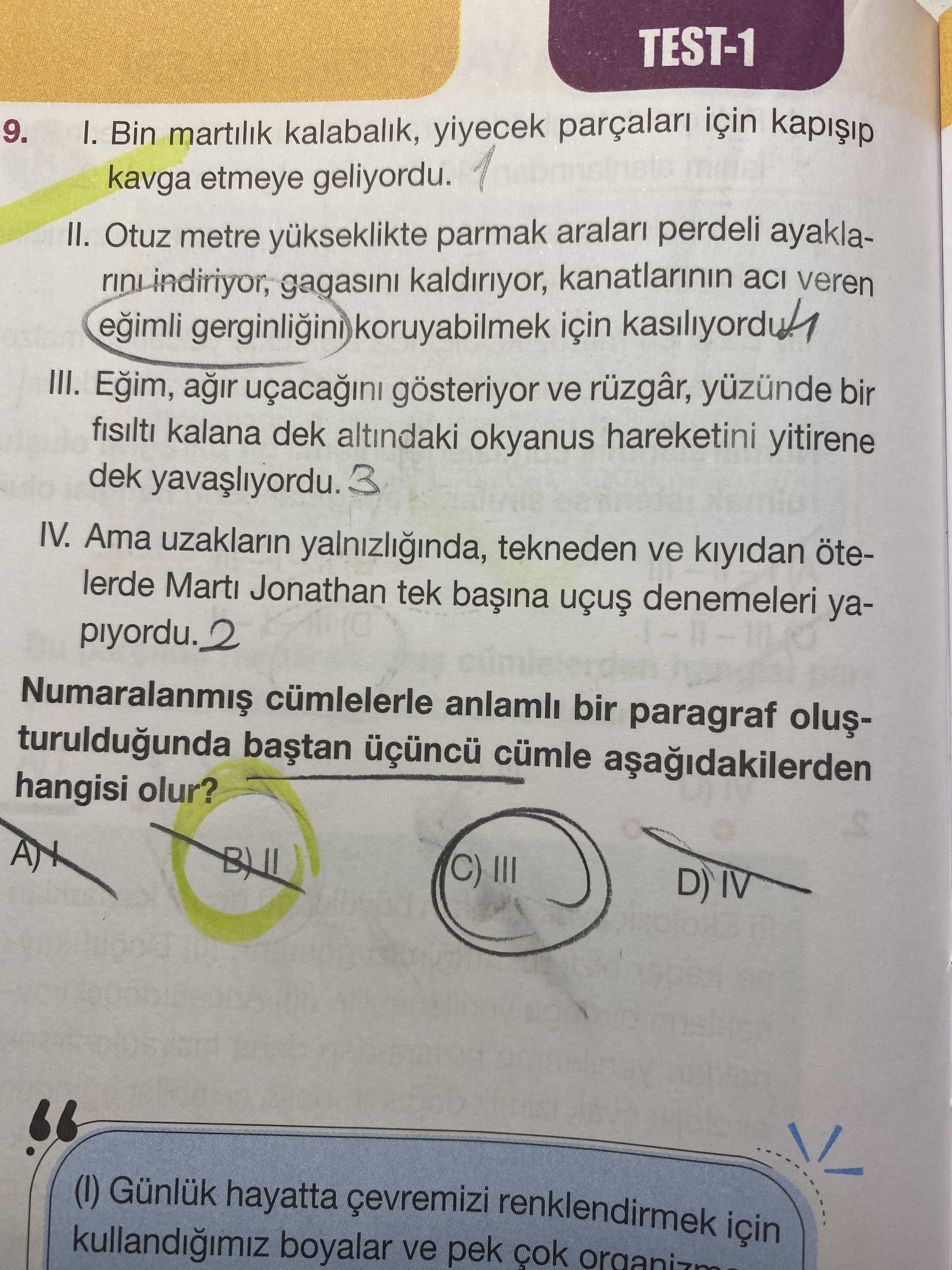 I. Bin martılık kalabalık, yiyecek parçaları için kapışıp kavga etmeye geliyordu. II. Otuz metre