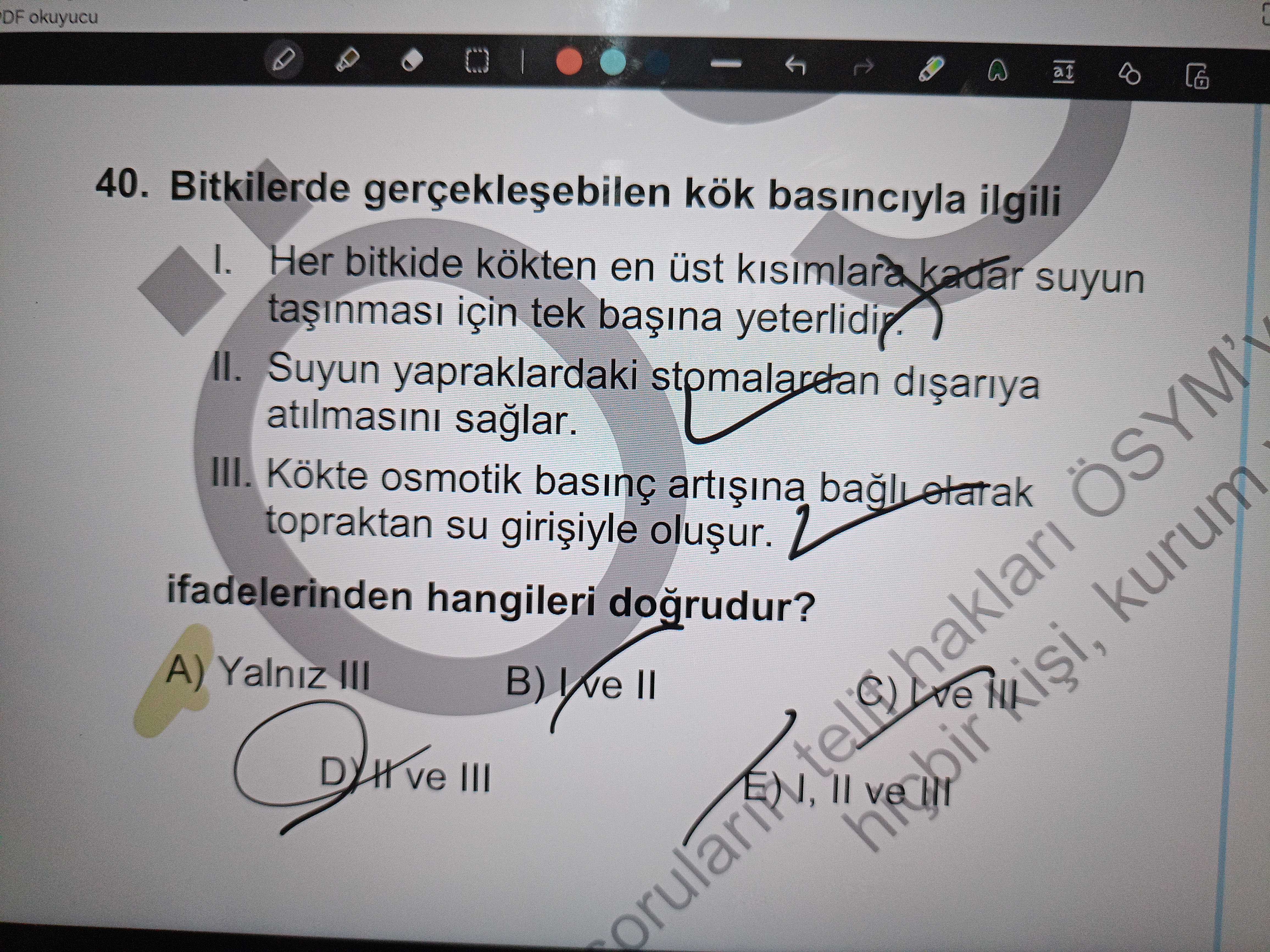 Bitkilerde gerçekleşebilen kök basıncıyla ilgili I. Her bitkide kökten en üst kısımlara kadar suyun