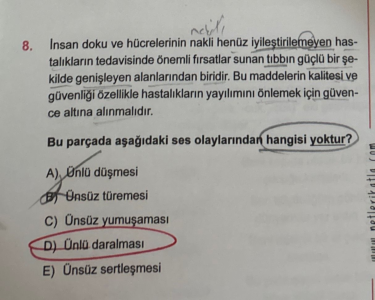 İnsan doku ve hücrelerinin nakli henüz iyileştirilemeyen hastalıkların tedavisinde önemli fırsatlar