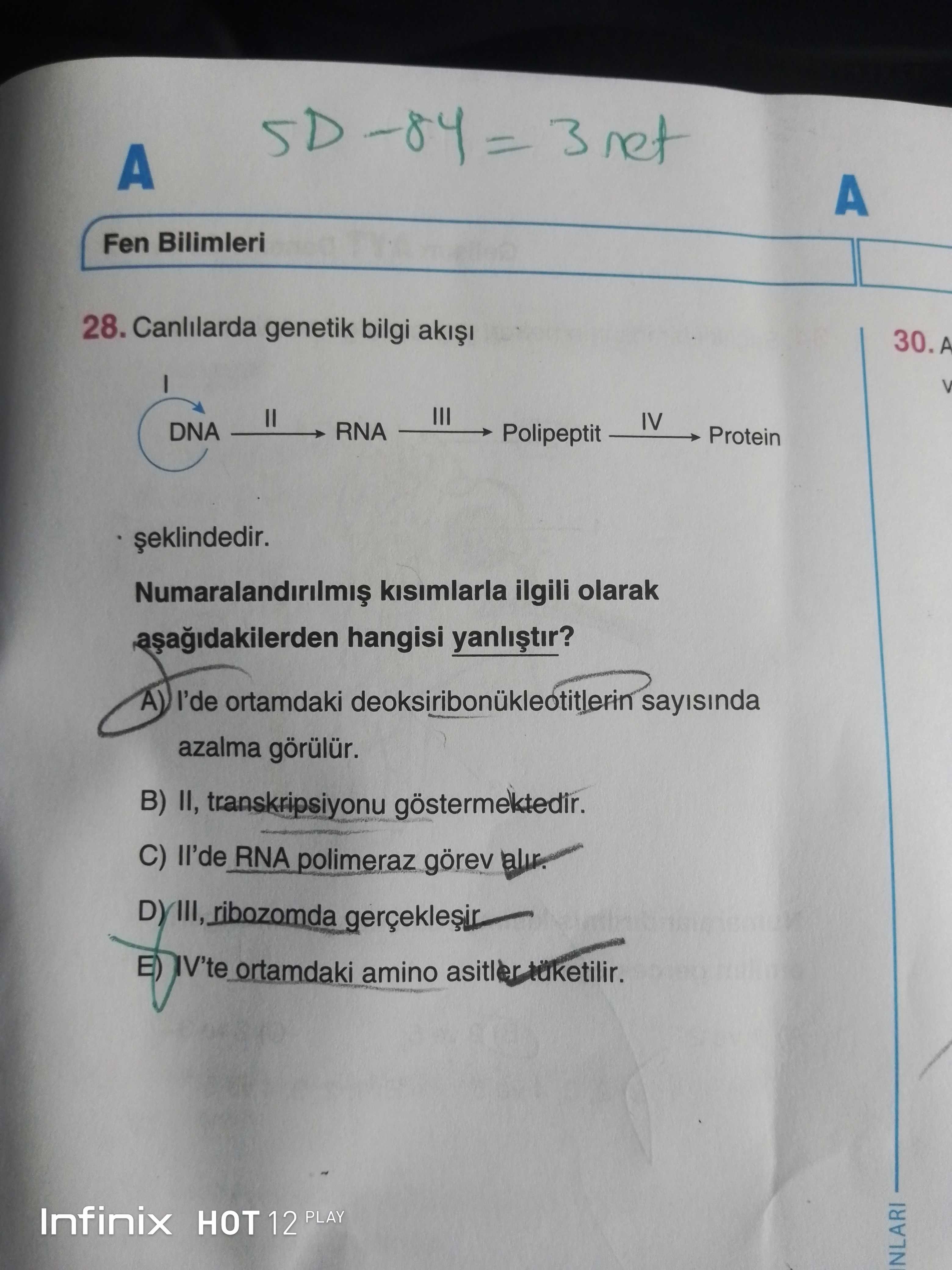 Canlılarda genetik bilgi akışı I DNA ——II——→ RNA ——III——→ Polipeptit ——IV——→ Protein şeklindedir