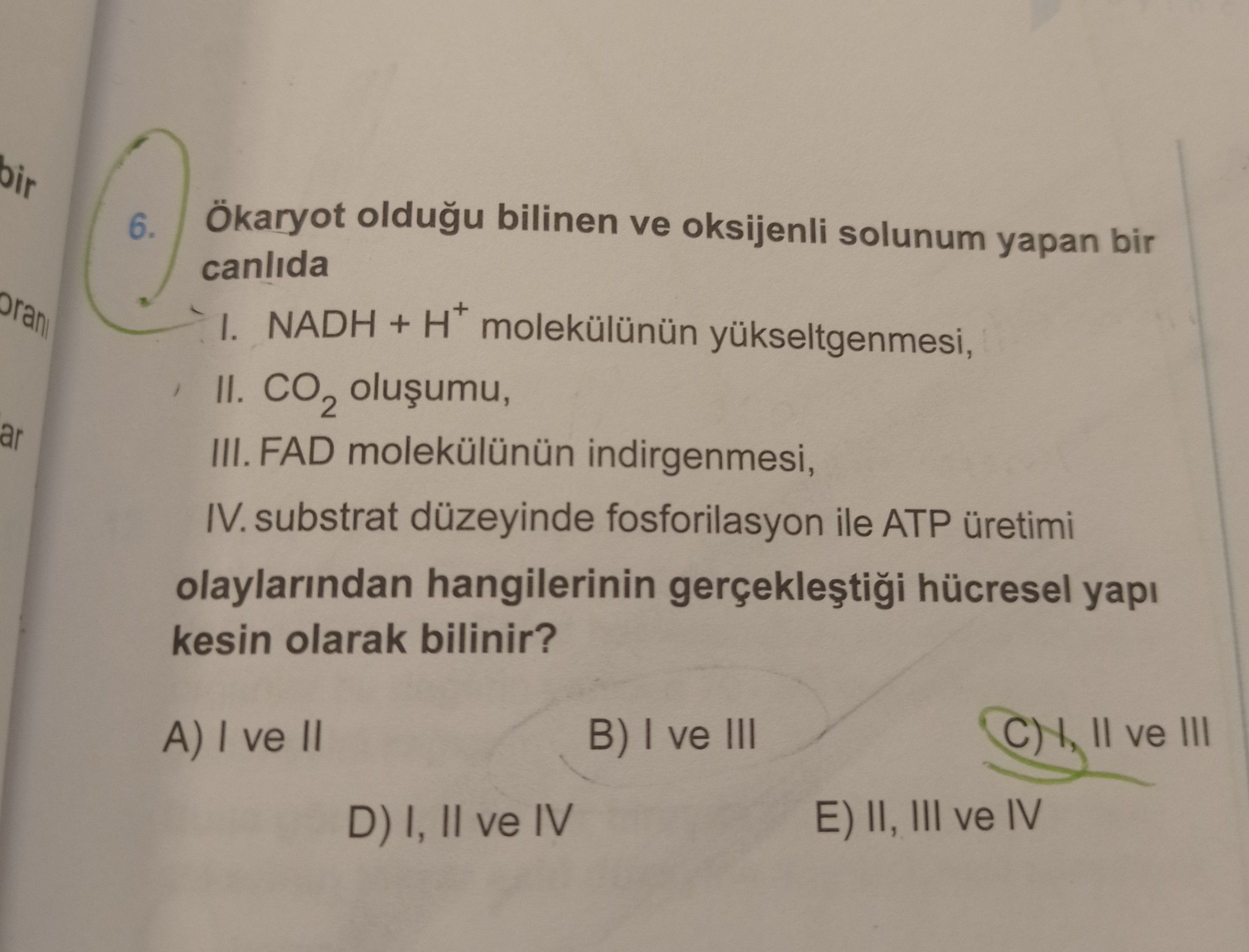 Ökaryot olduğu bilinen ve oksijenli solunum yapan bir canlıda I. NADH + H⁺ molekülünün