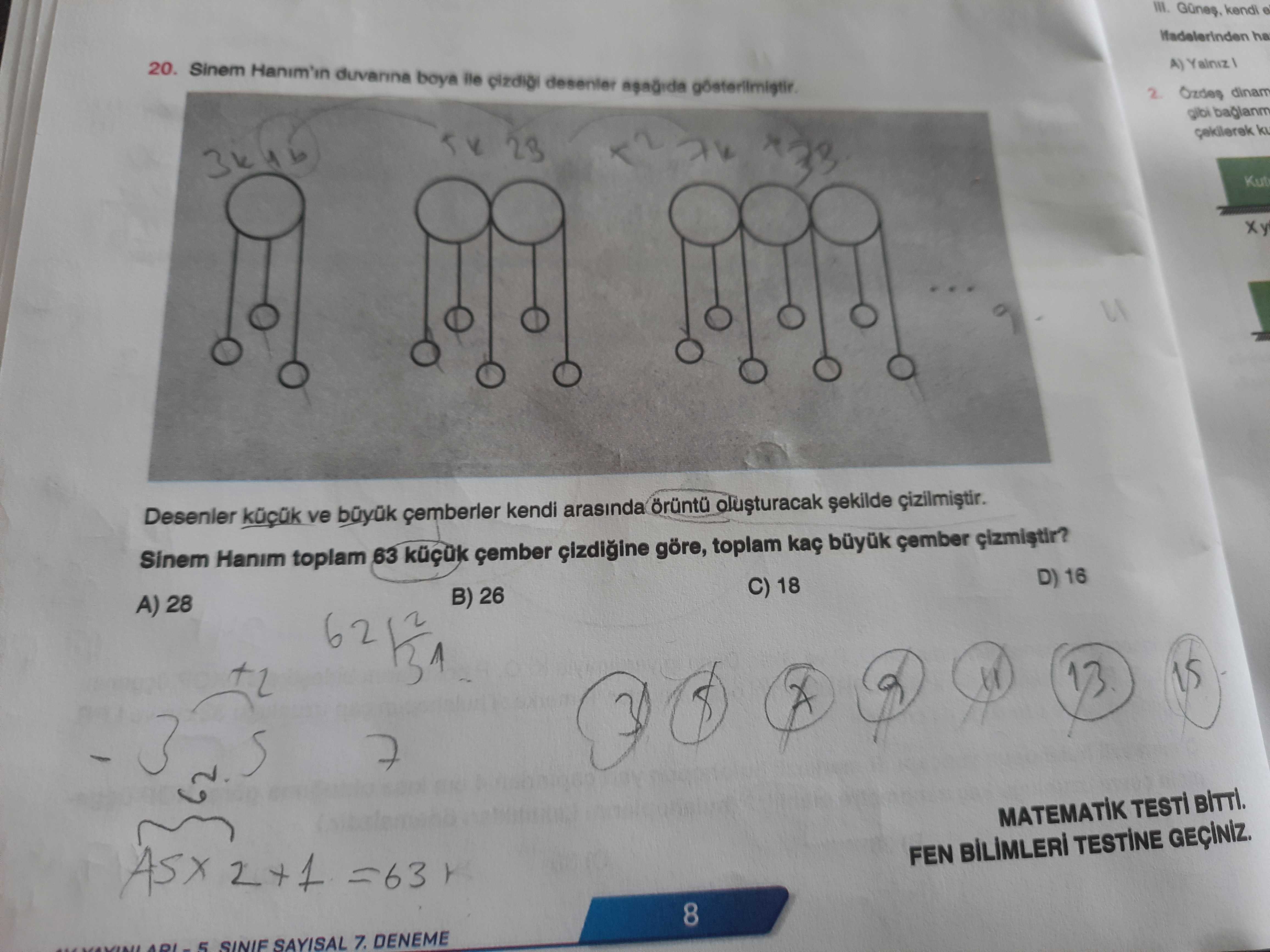 Sinem Hanım'ın duvarına boya ile çizdiği desenler aşağıda gösterilmiştir. Desenler küçük ve büyük