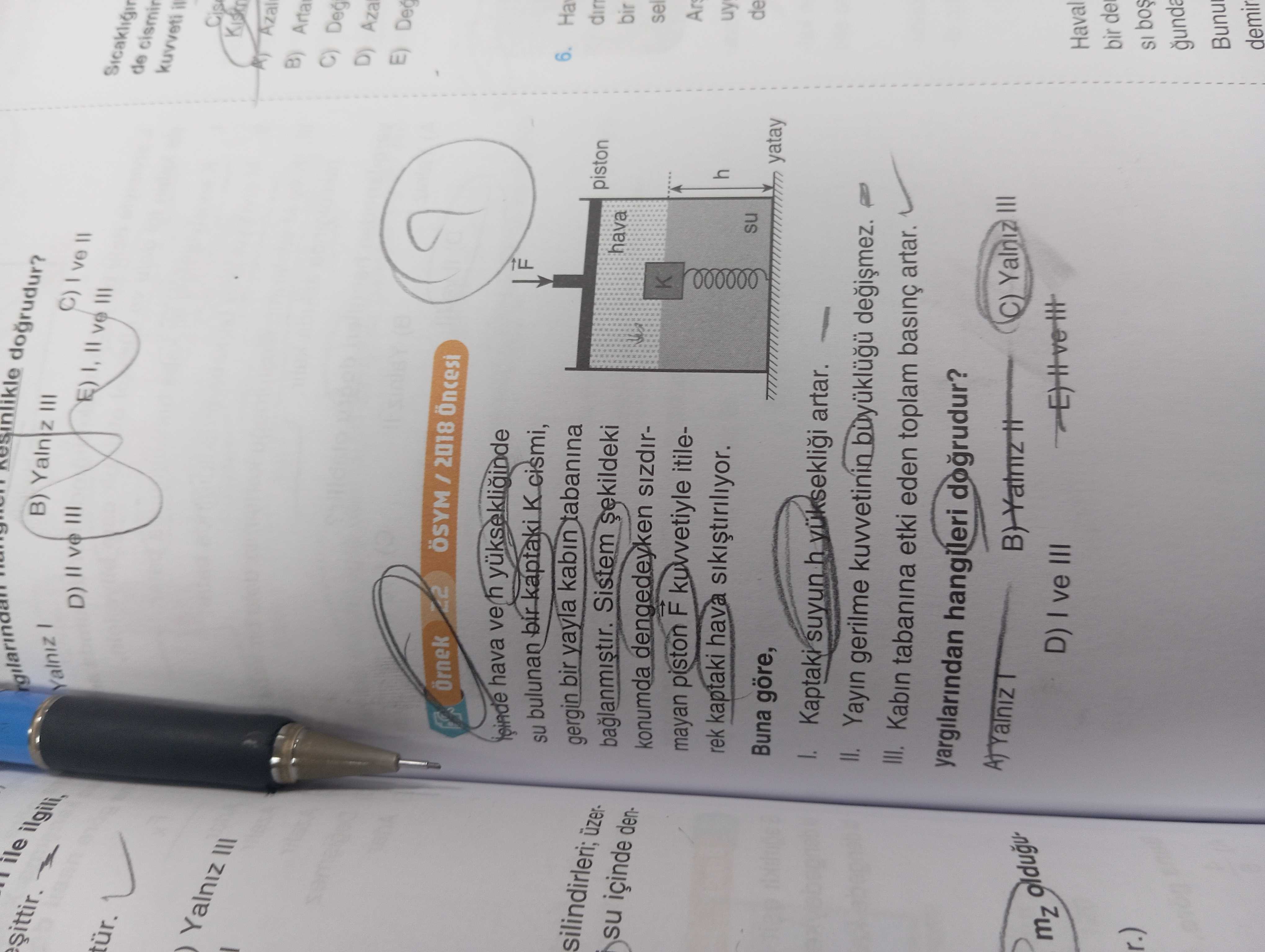 Fizik (12. Sınıf)