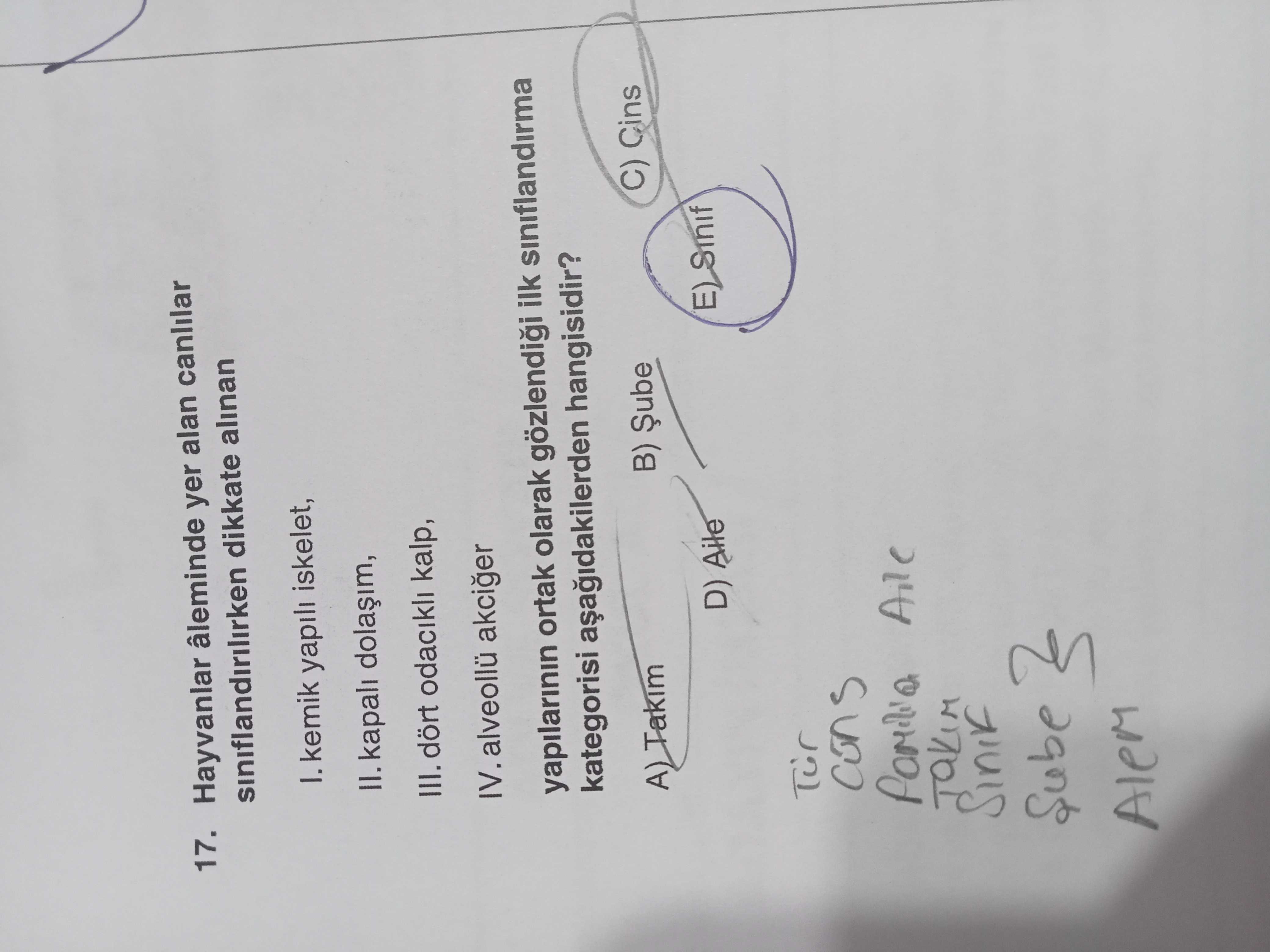 Hayvanlar âleminde yer alan canlılar sınıflandırılırken dikkate alınan I. kemik yapılı iskelet, II