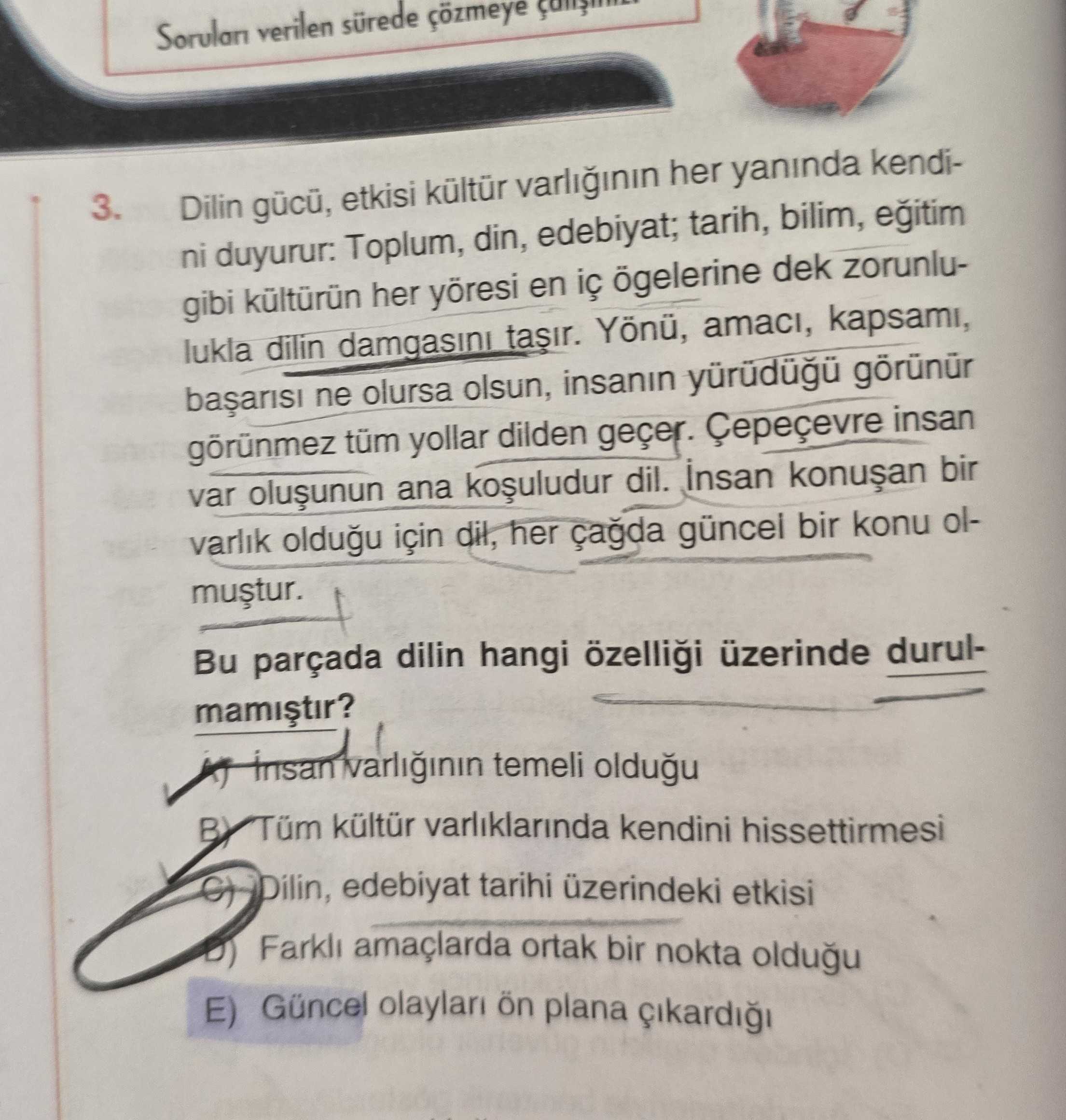 Dilin gücü, etkisi kültür varlığının her yanında kendini duyurur: Toplum, din, edebiyat; tarih