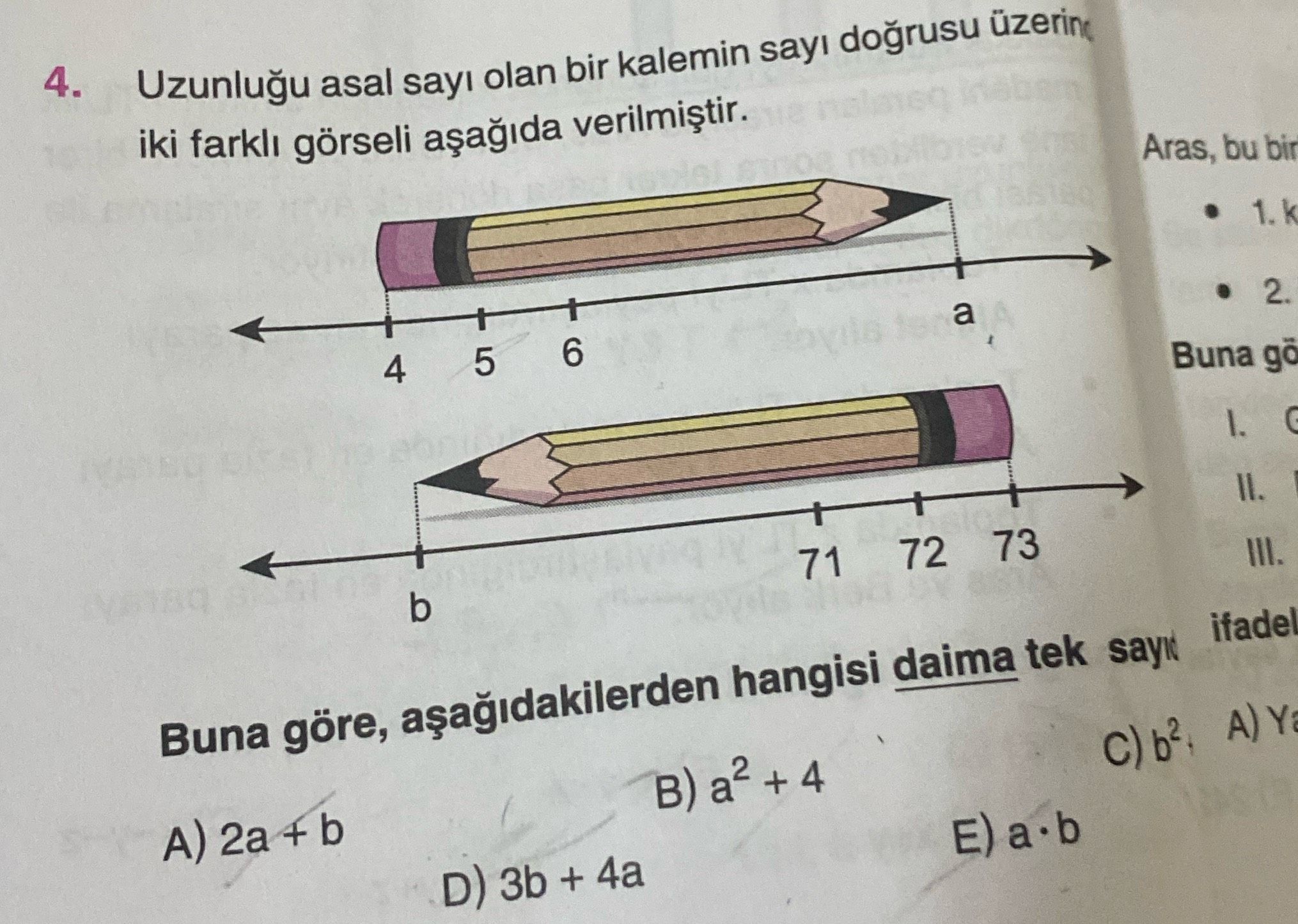 Uzunluğu asal sayı olan bir kalemin sayı doğrusu üzerinde iki farklı görseli aşağıda verilmiştir