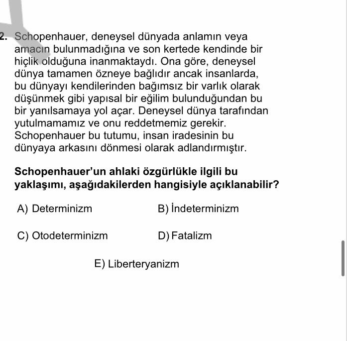 Schopenhauer, deneysel dünyada anlamın veya amacın bulunmadığına ve son kertede kendinde bir hiçlik