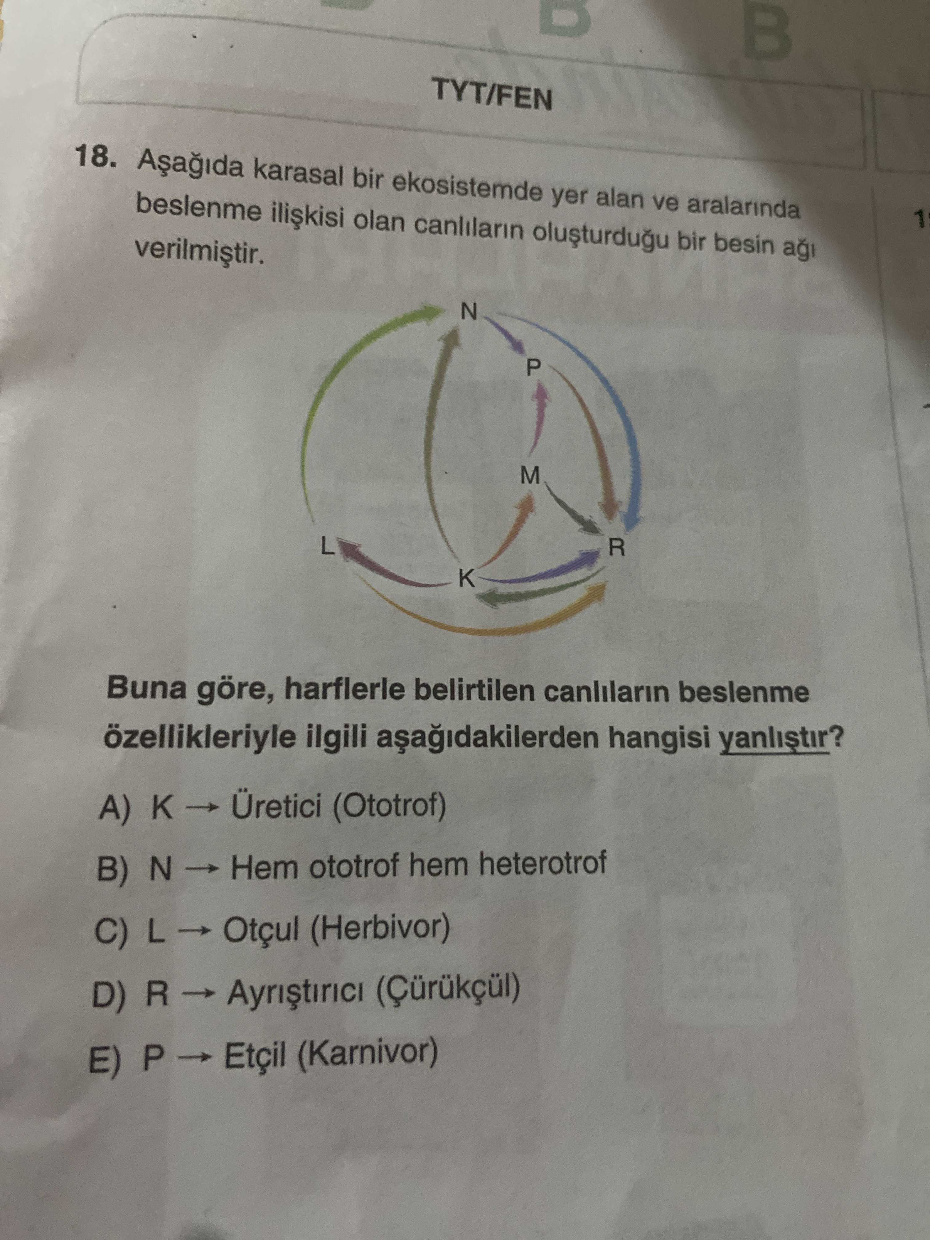 Aşağıda karasal bir ekosistemde yer alan ve aralarında beslenme ilişkisi olan canlıların oluşturduğu