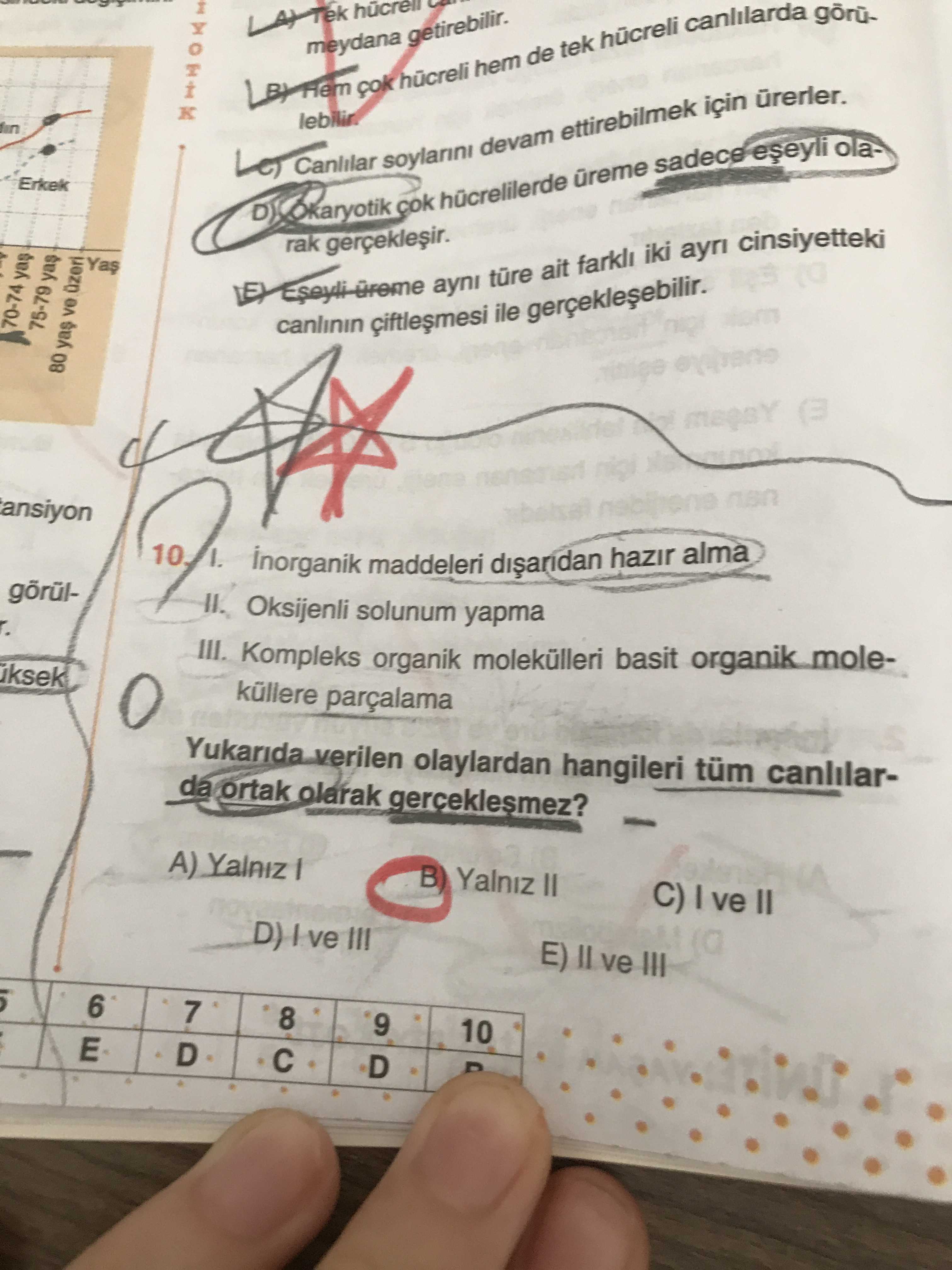 Biyoloji (11. Sınıf)