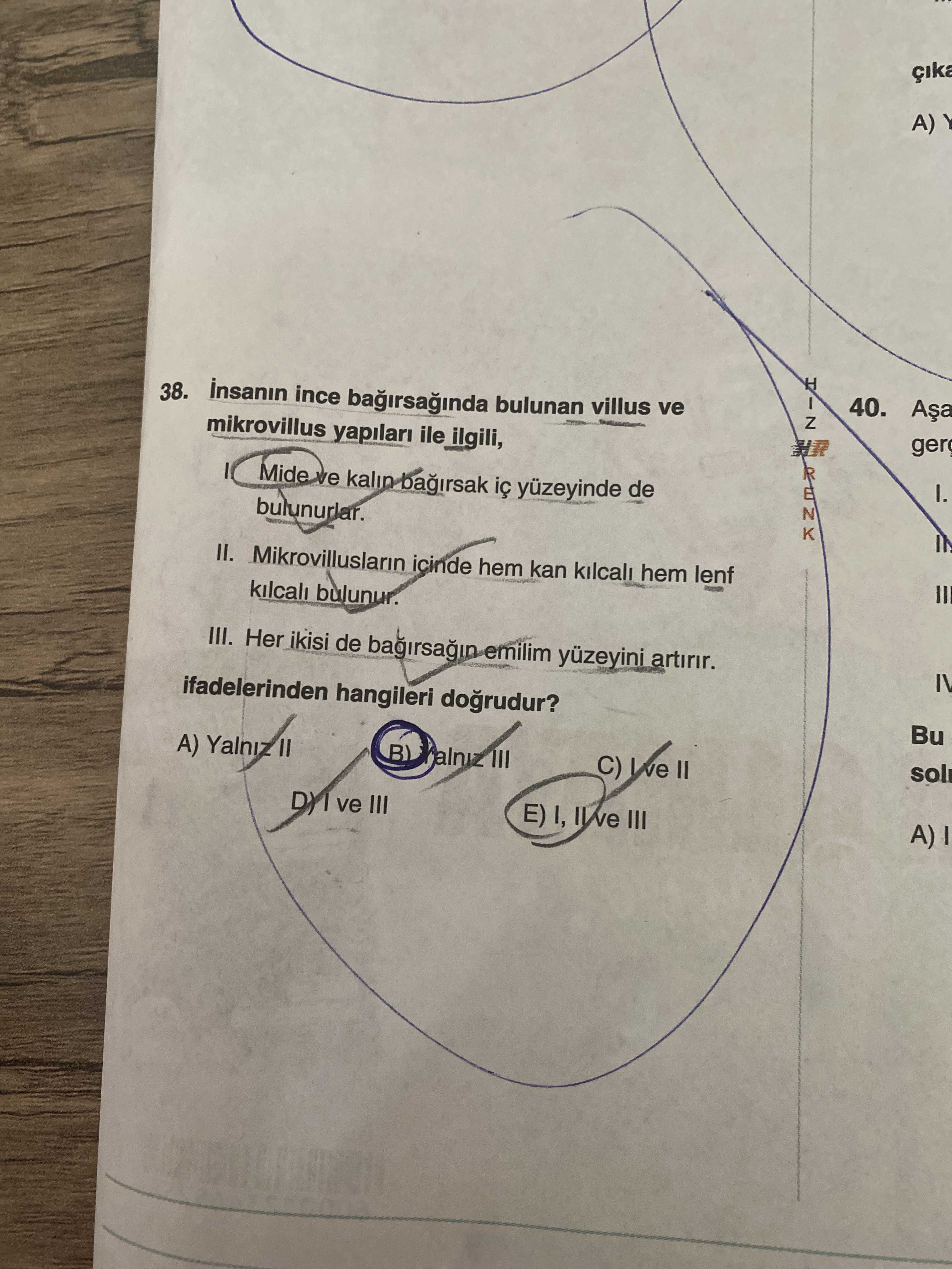 İnsanın ince bağırsağında bulunan villus ve mikrovillus yapıları ile ilgili; I. Mide ve kalın