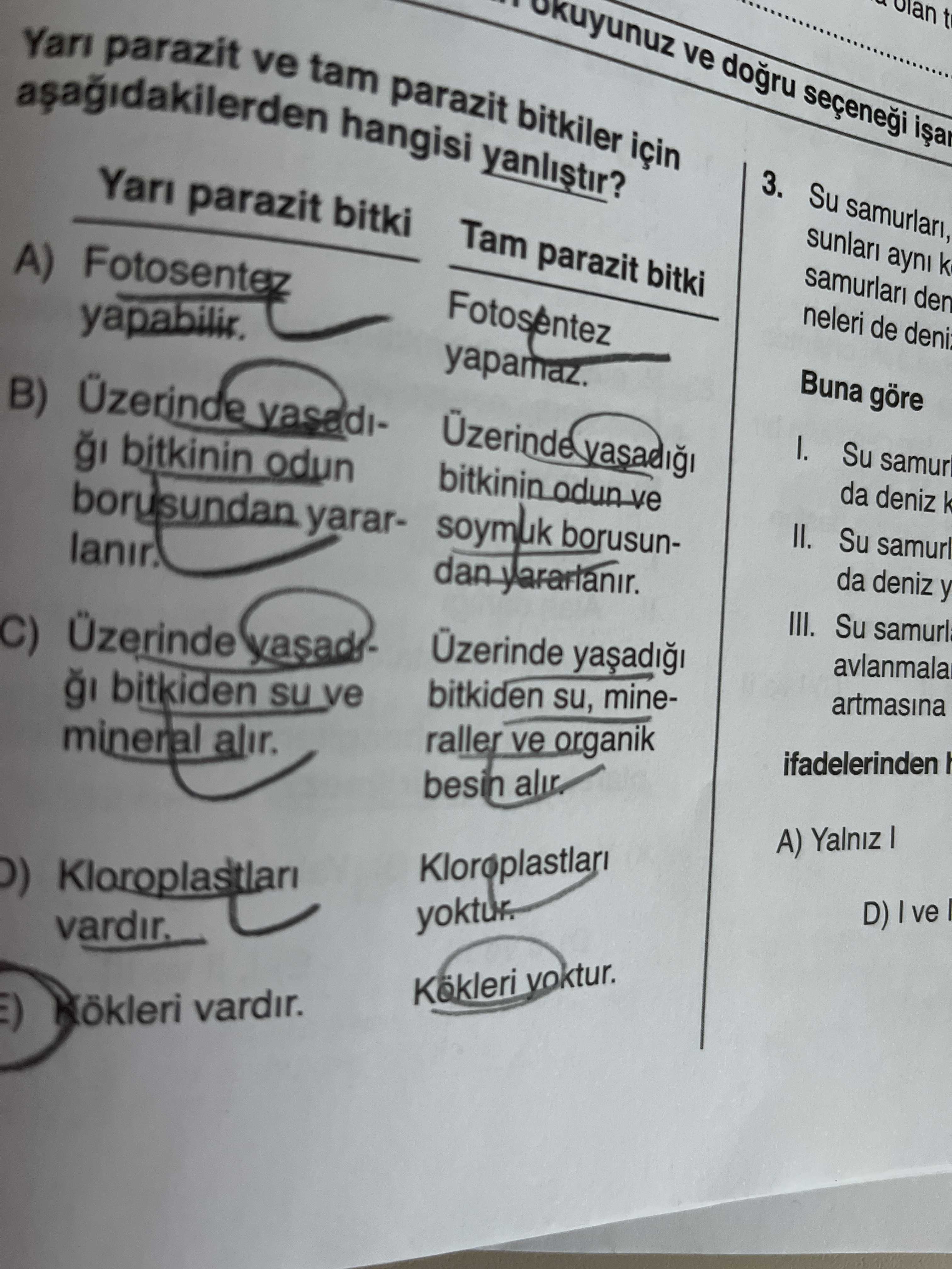 Yarı parazit ve tam parazit bitkiler için aşağıdakilerden hangisi yanlıştır? Yarı parazit bitki