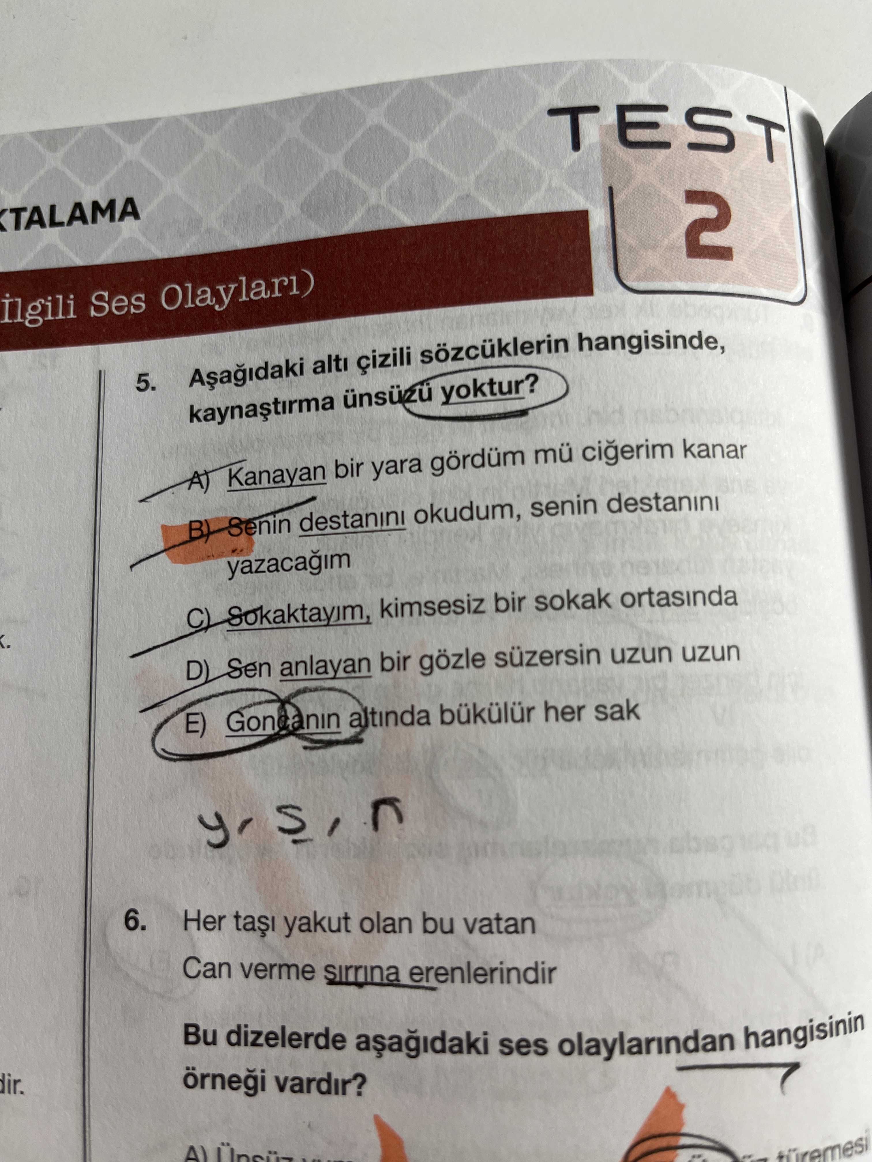 Türkçe (12. Sınıf)