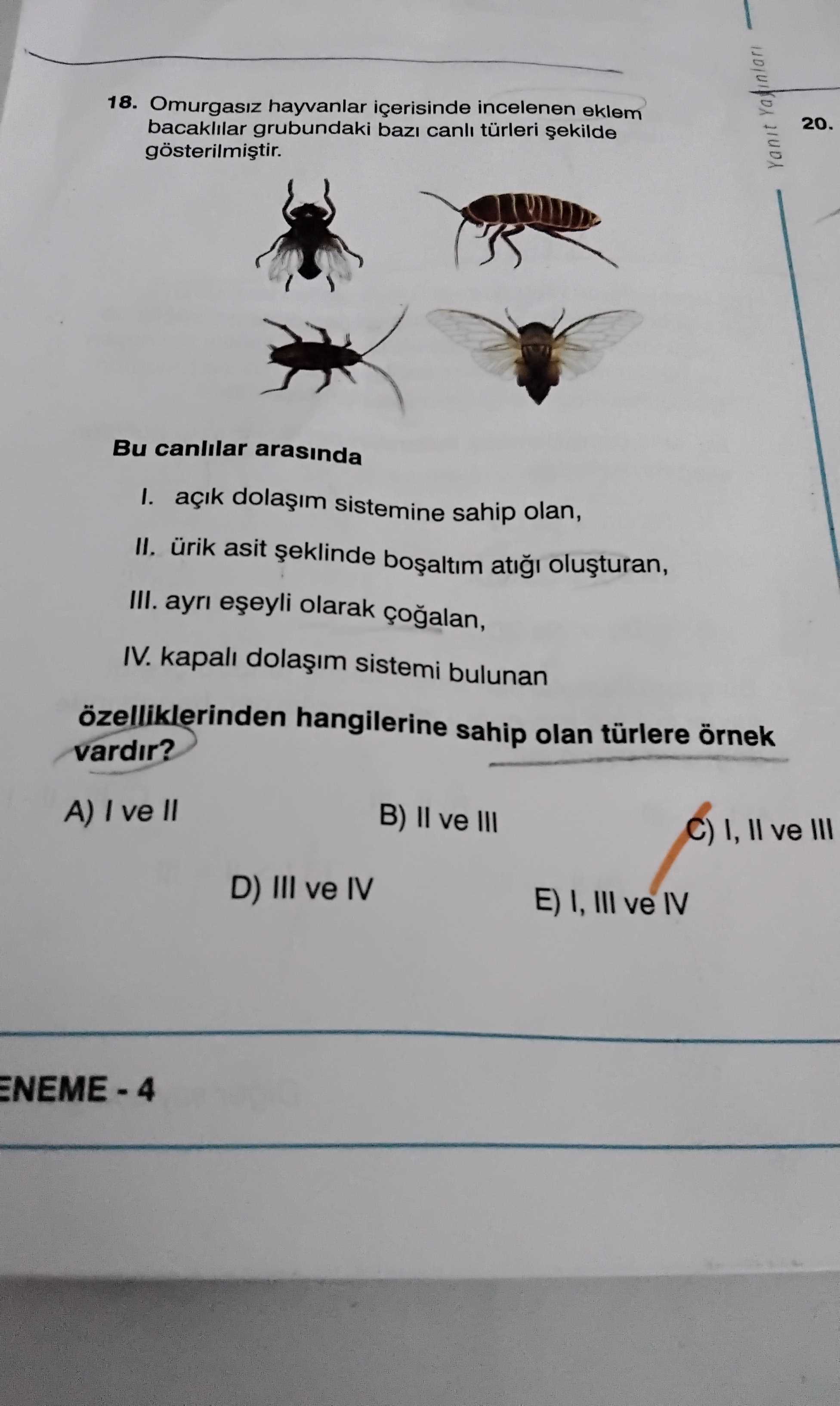 Omurgasız hayvanlar içerisinde incelenen eklem bacaklılar grubundaki bazı canlı türleri şekilde