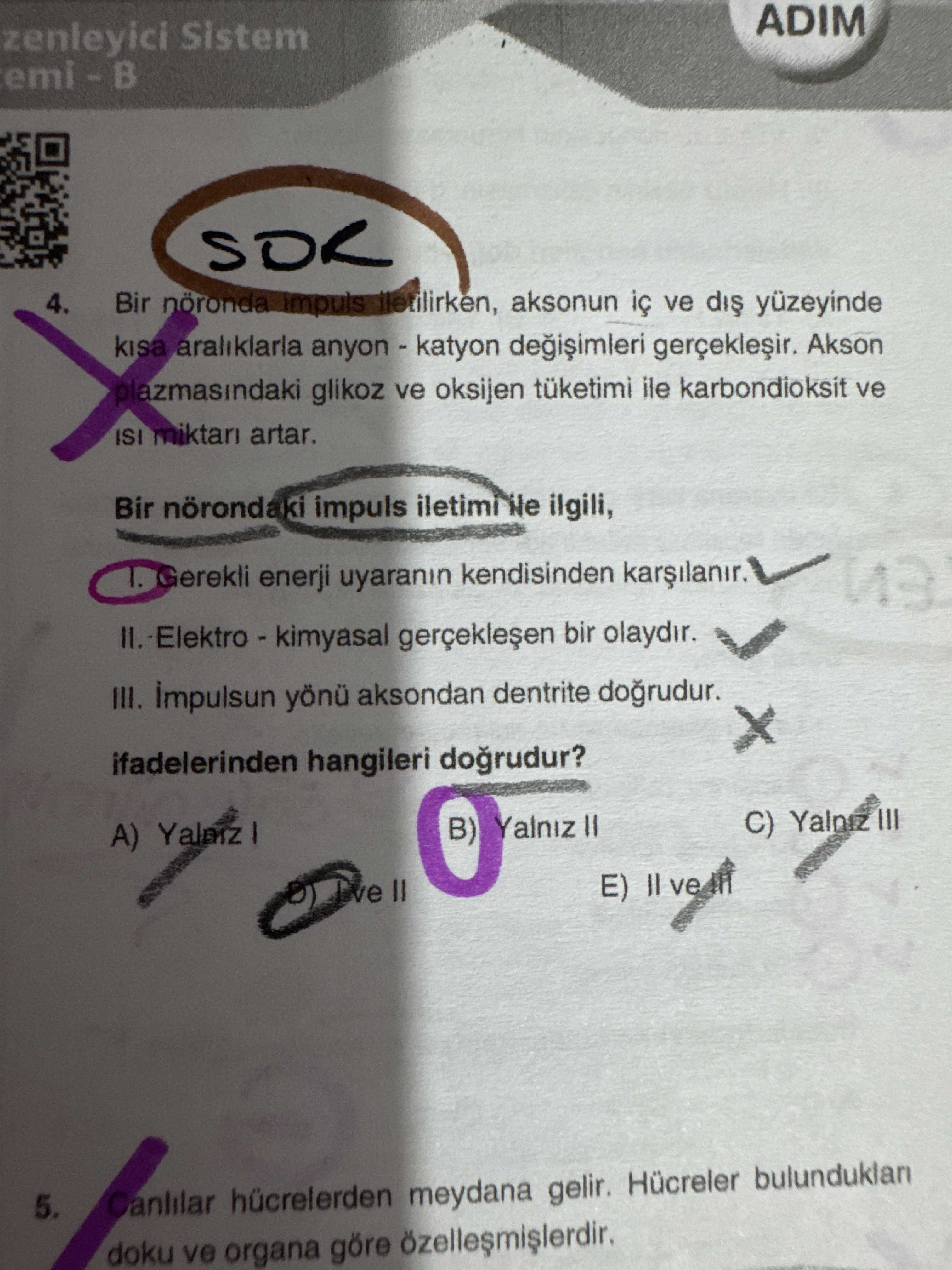 Biyoloji (12. Sınıf)