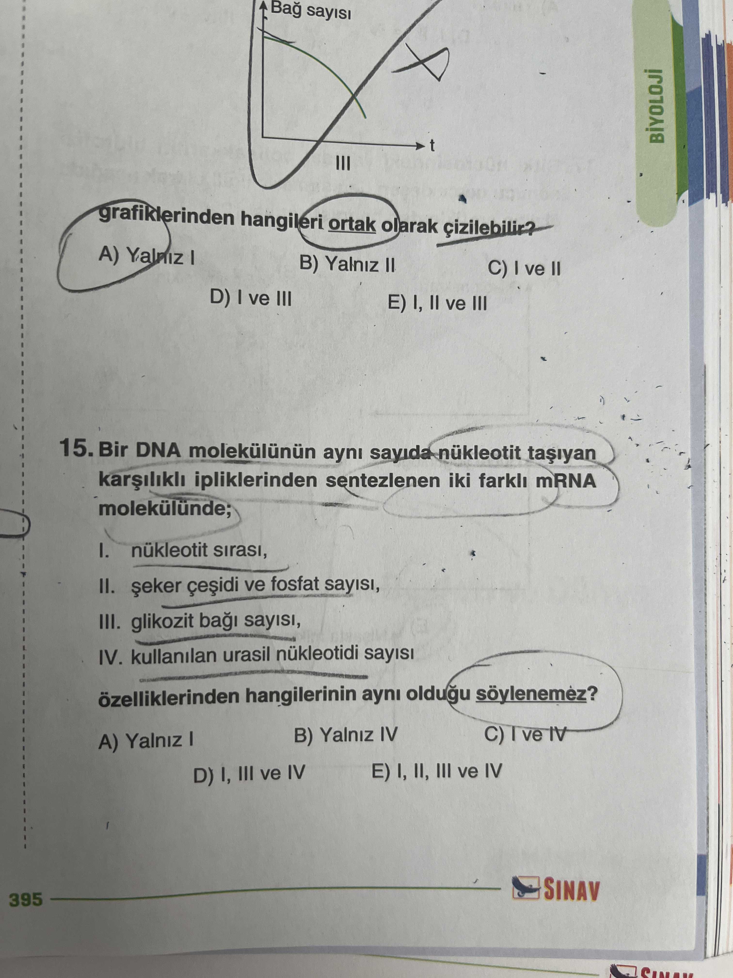 Biyoloji (11. Sınıf)