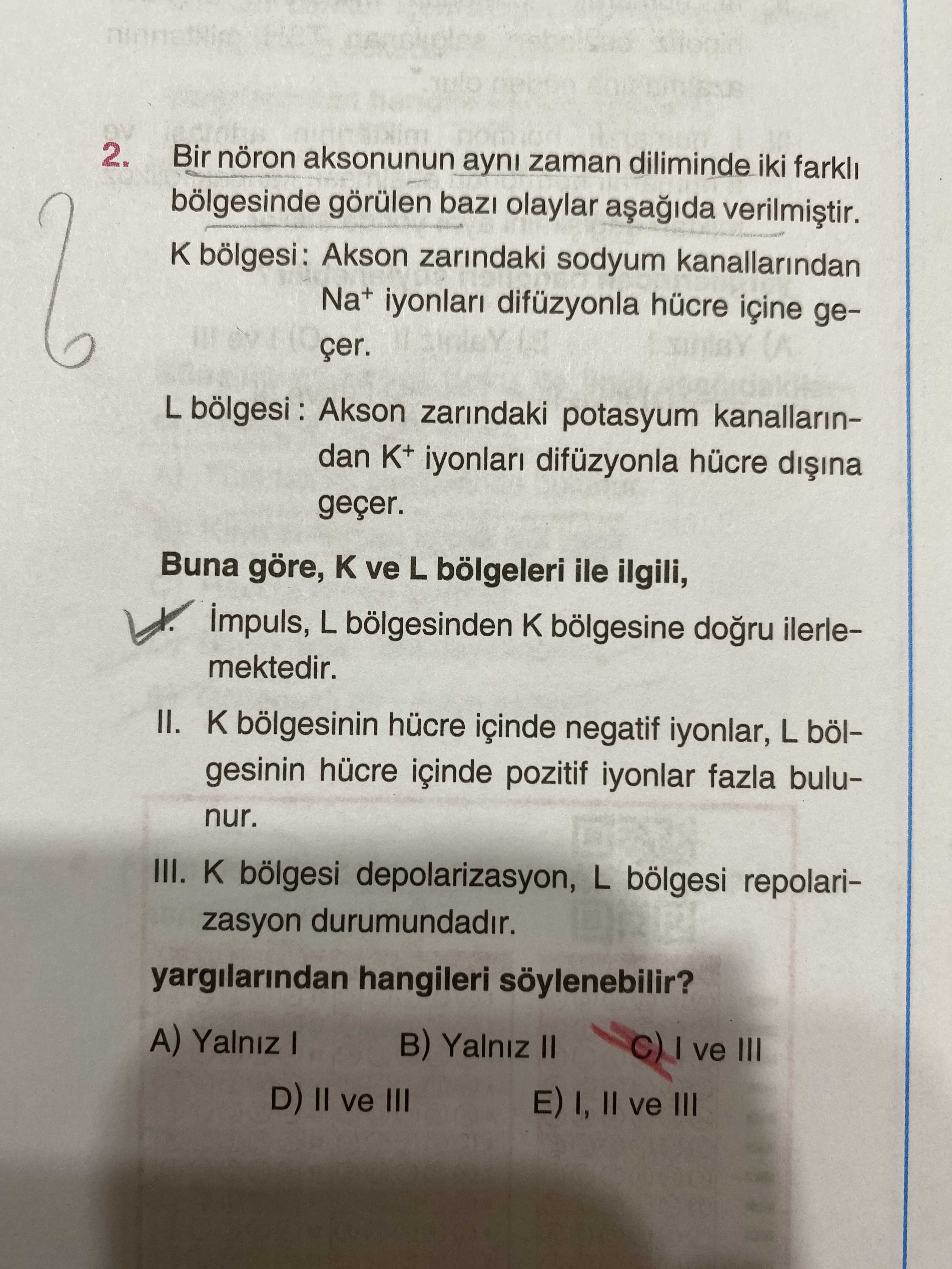 Bir nöron aksonunun aynı zaman diliminde iki farklı bölgesinde görülen bazı olaylar aşağıda