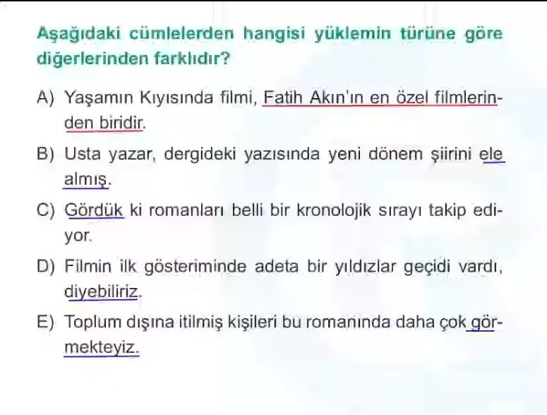 Türkçe (12. Sınıf)