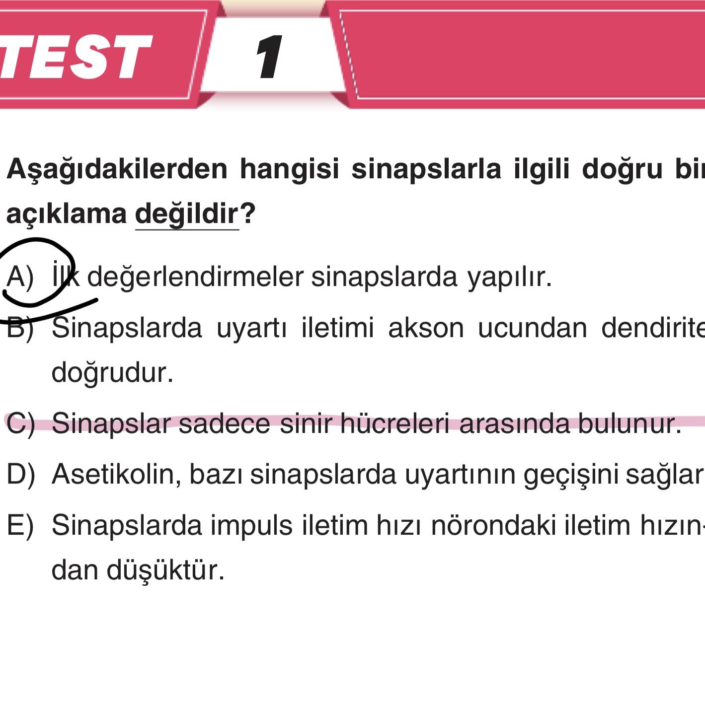 Aşağıdakilerden hangisi sinapslarla ilgili doğru bir açıklama değildir?