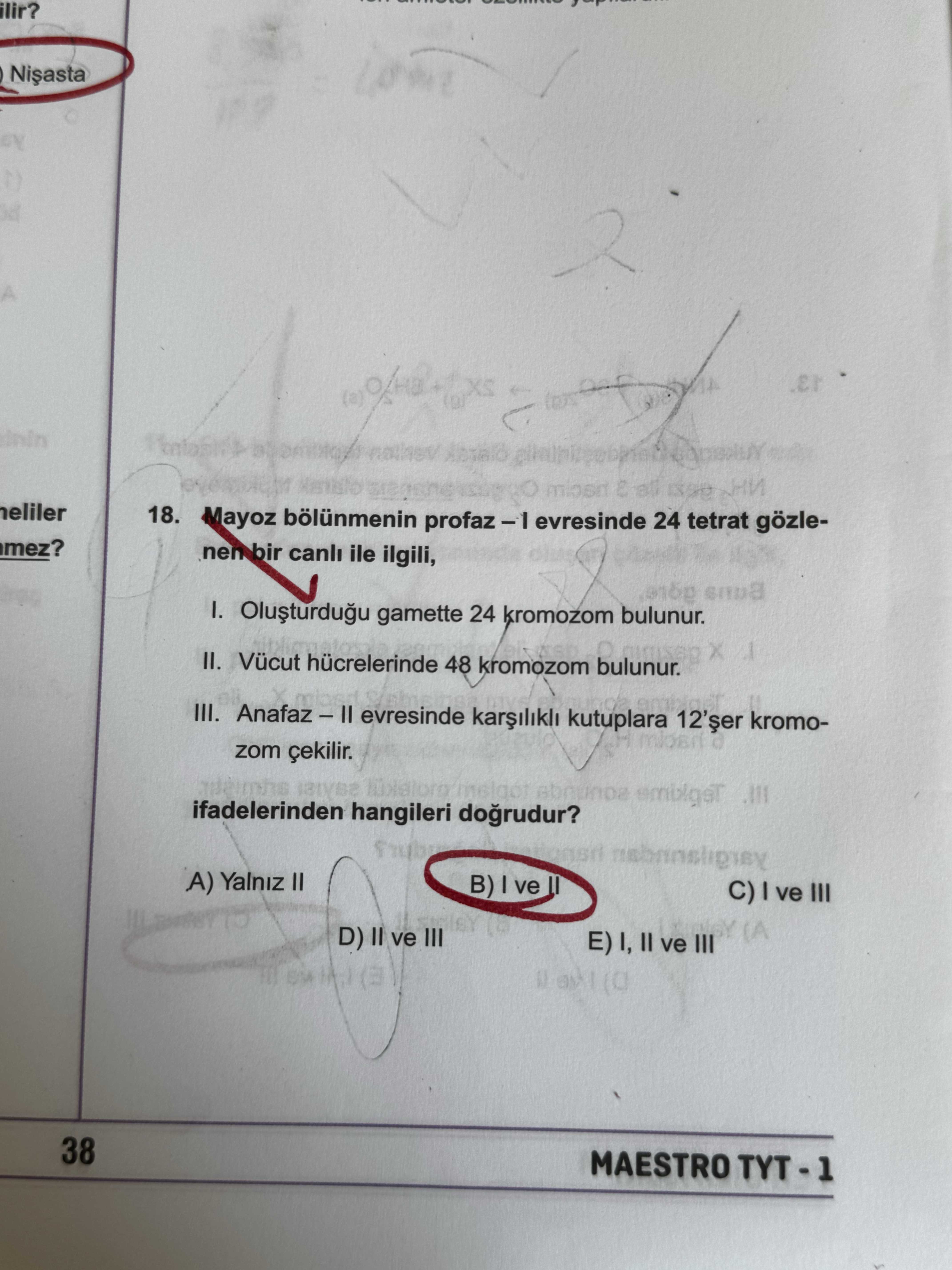Mayoz bölünmenin profaz – I evresinde 24 tetrat gözlenen bir canlı ile ilgili, I. Oluşturduğu
