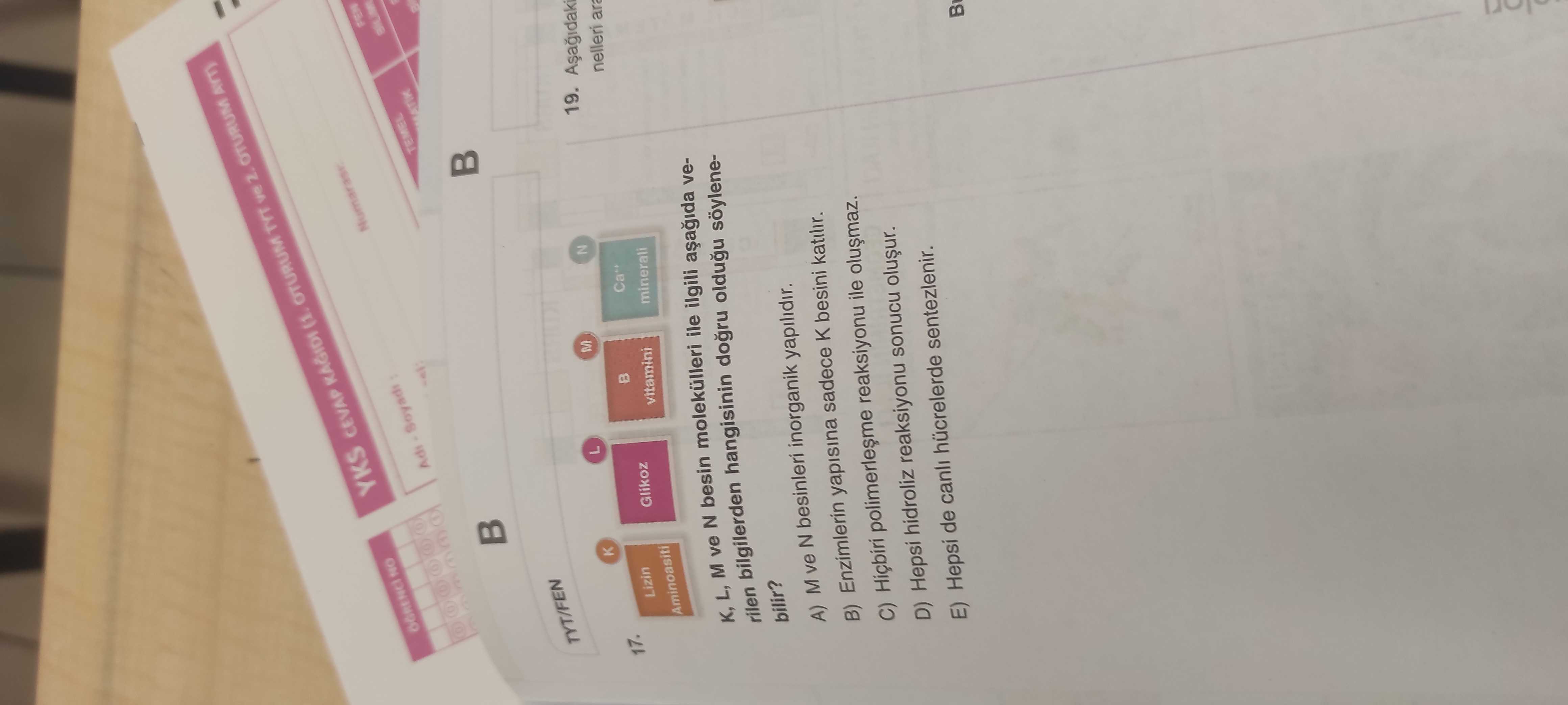 K, L, M ve N besin molekülleri ile ilgili aşağıda verilen bilgilerden hangisinin doğru olduğu