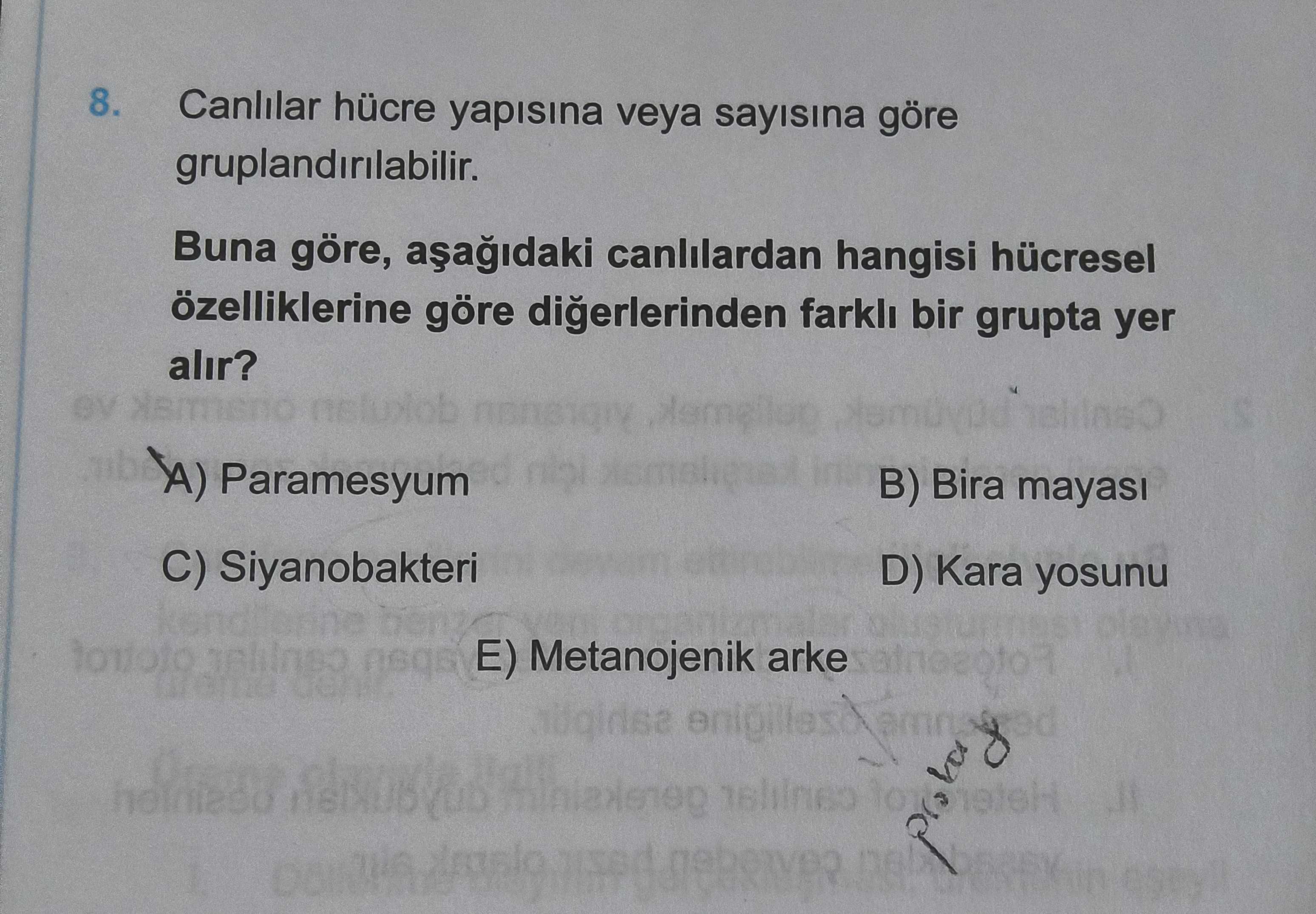 Canlılar hücre yapısına veya sayısına göre gruplandırılabilir. Buna göre, aşağıdaki canlılardan