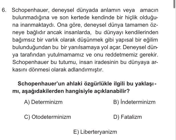 Schopenhauer, deneysel dünyada anlamın veya amacın bulunmadığına ve son kertede kendinde bir hiçlik