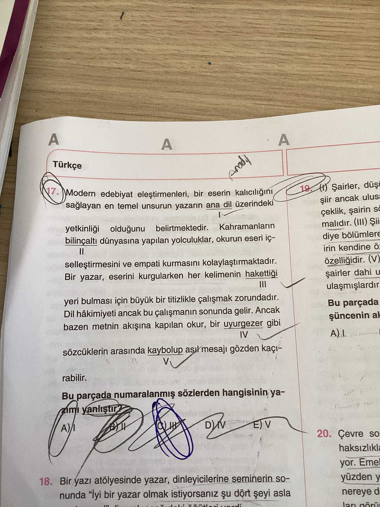 Modern edebiyat eleştirmenleri, bir eserin kalıcılığını sağlayan en temel unsurun yazarın ana dil