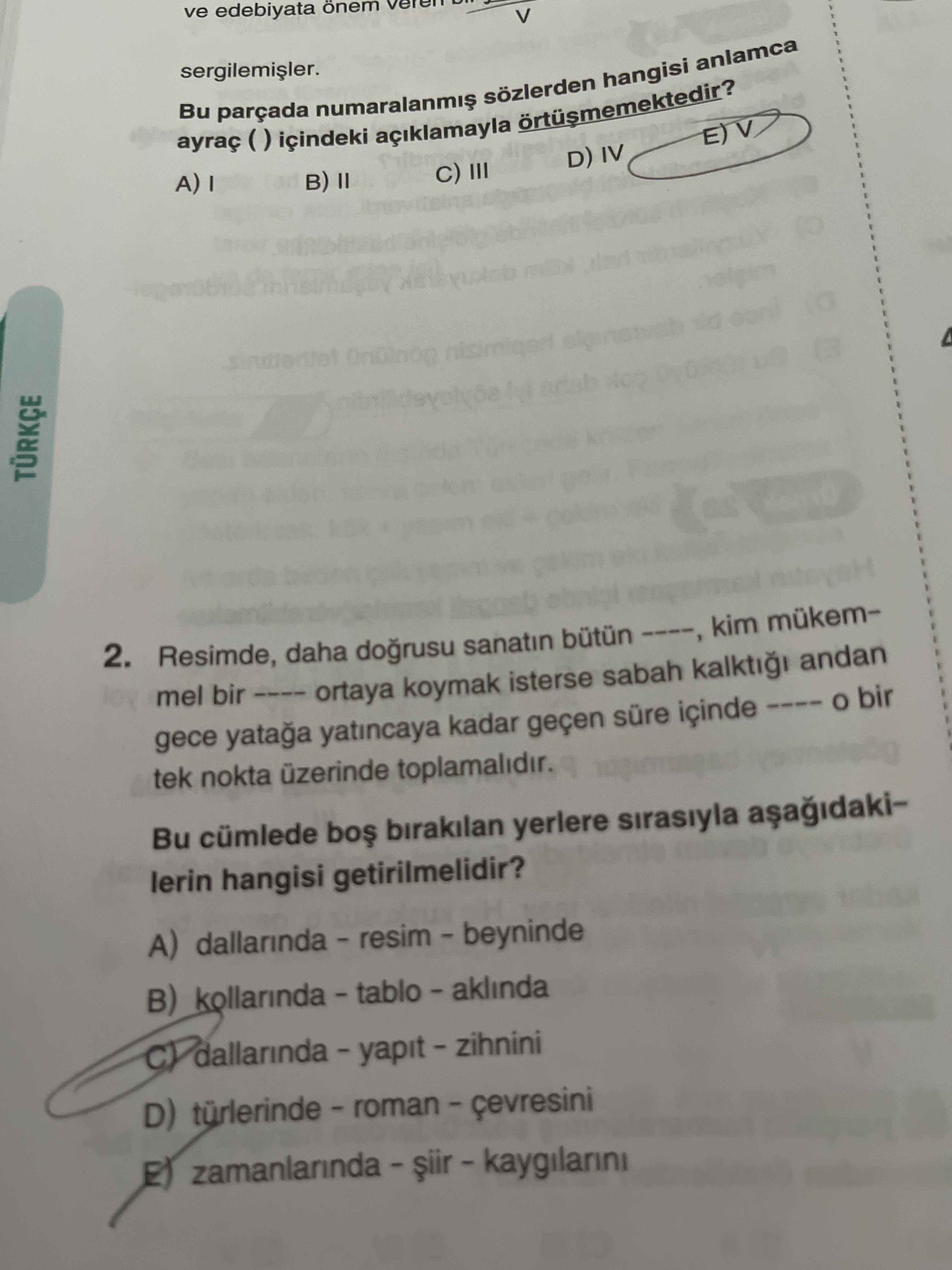 Türkçe (12. Sınıf)