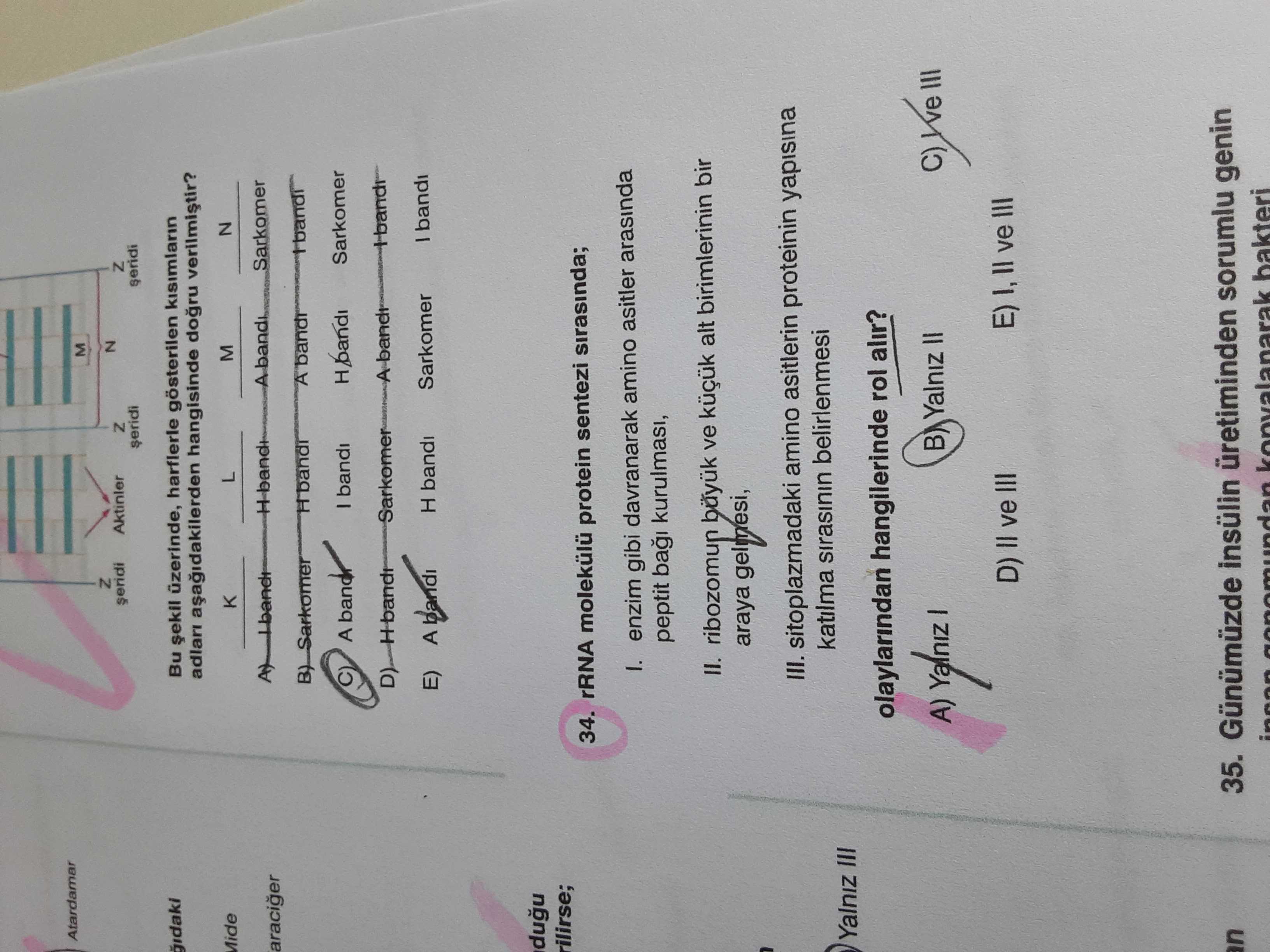 Bu şekil üzerinde, harflerle gösterilen kısımların adları aşağıdakilerden hangisinde doğru