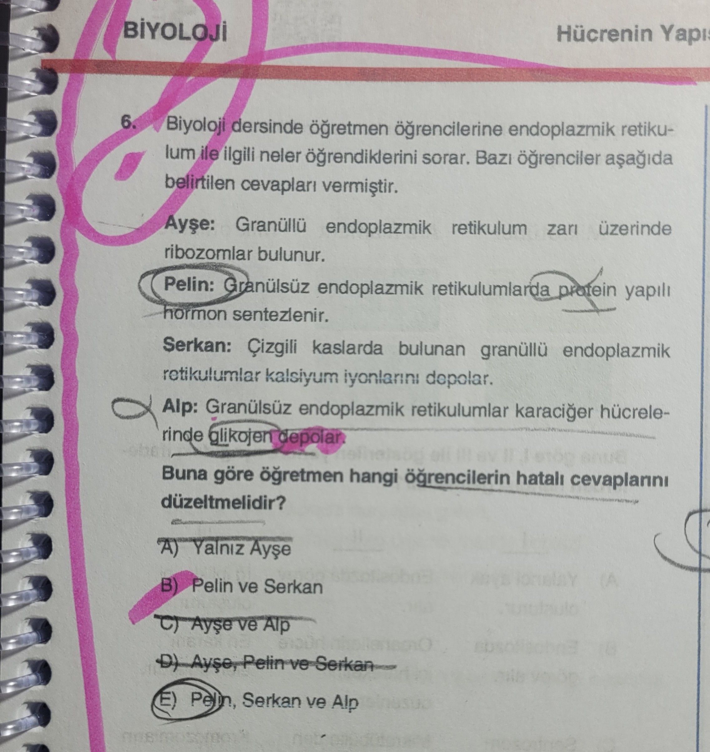Biyoloji dersinde öğretmen öğrencilerine endoplazmik retikulum ile ilgili neler öğrendiklerini