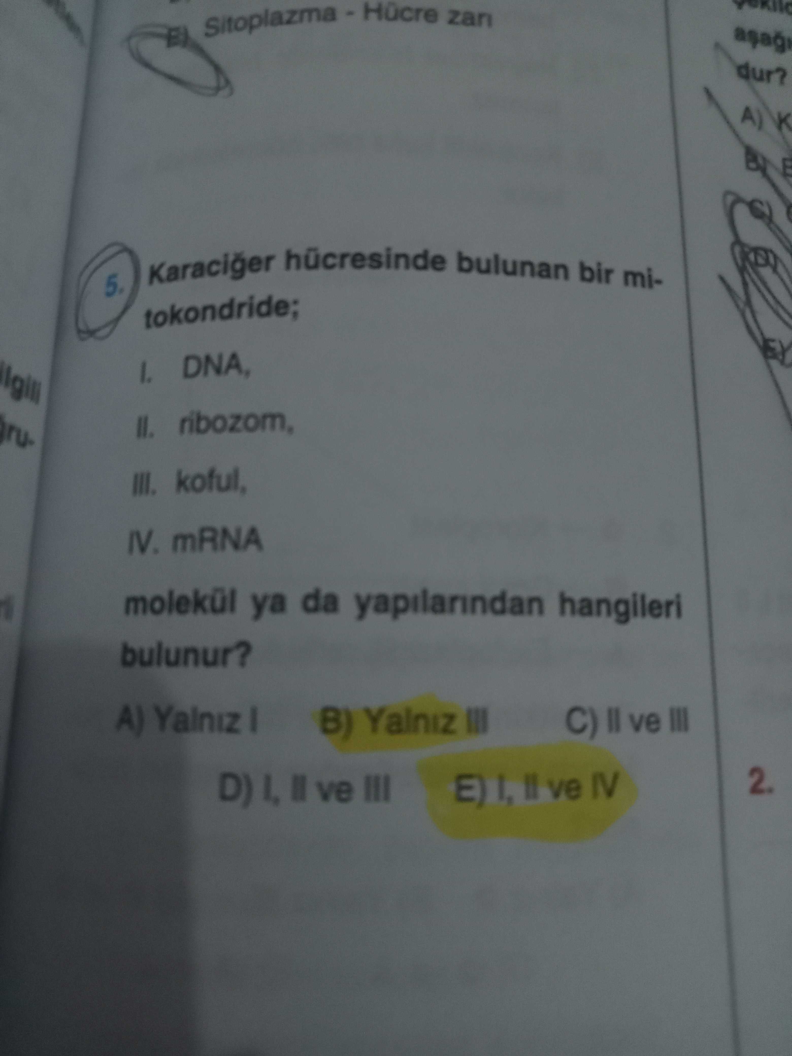 Biyoloji (12. Sınıf)