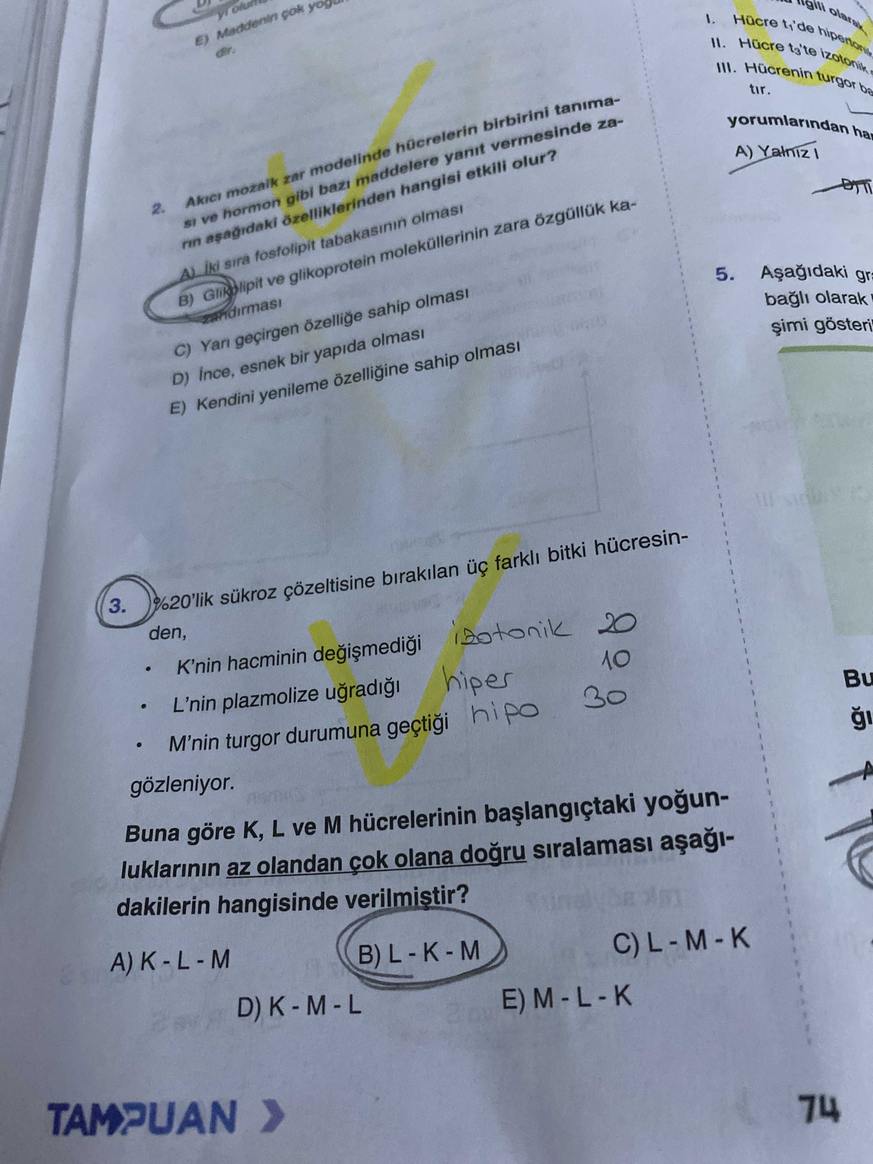 %20'lik sükroz çözeltisine bırakılan üç farklı bitki hücresinden, • K'nin hacminin değişmediği •